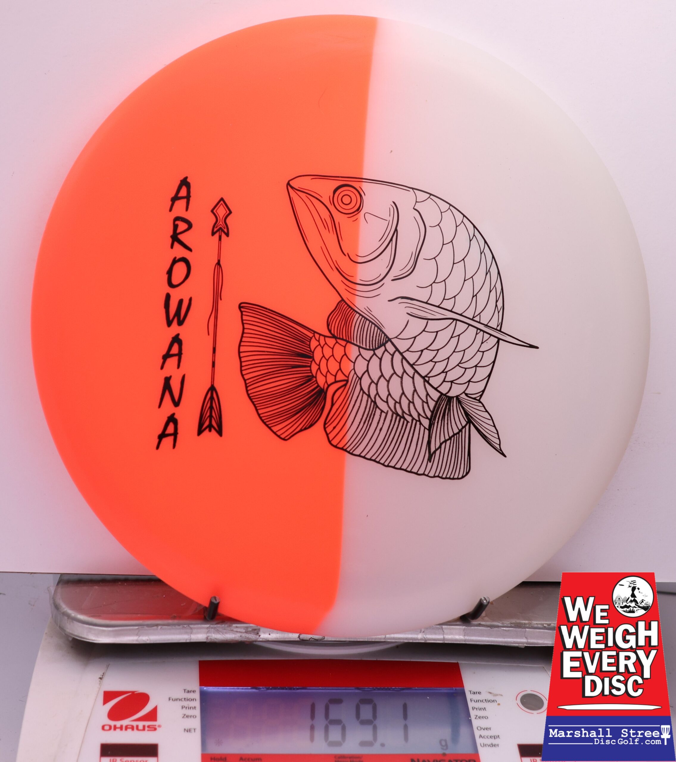 450562 glO-G Arowana - #10 NRedGlow, 169