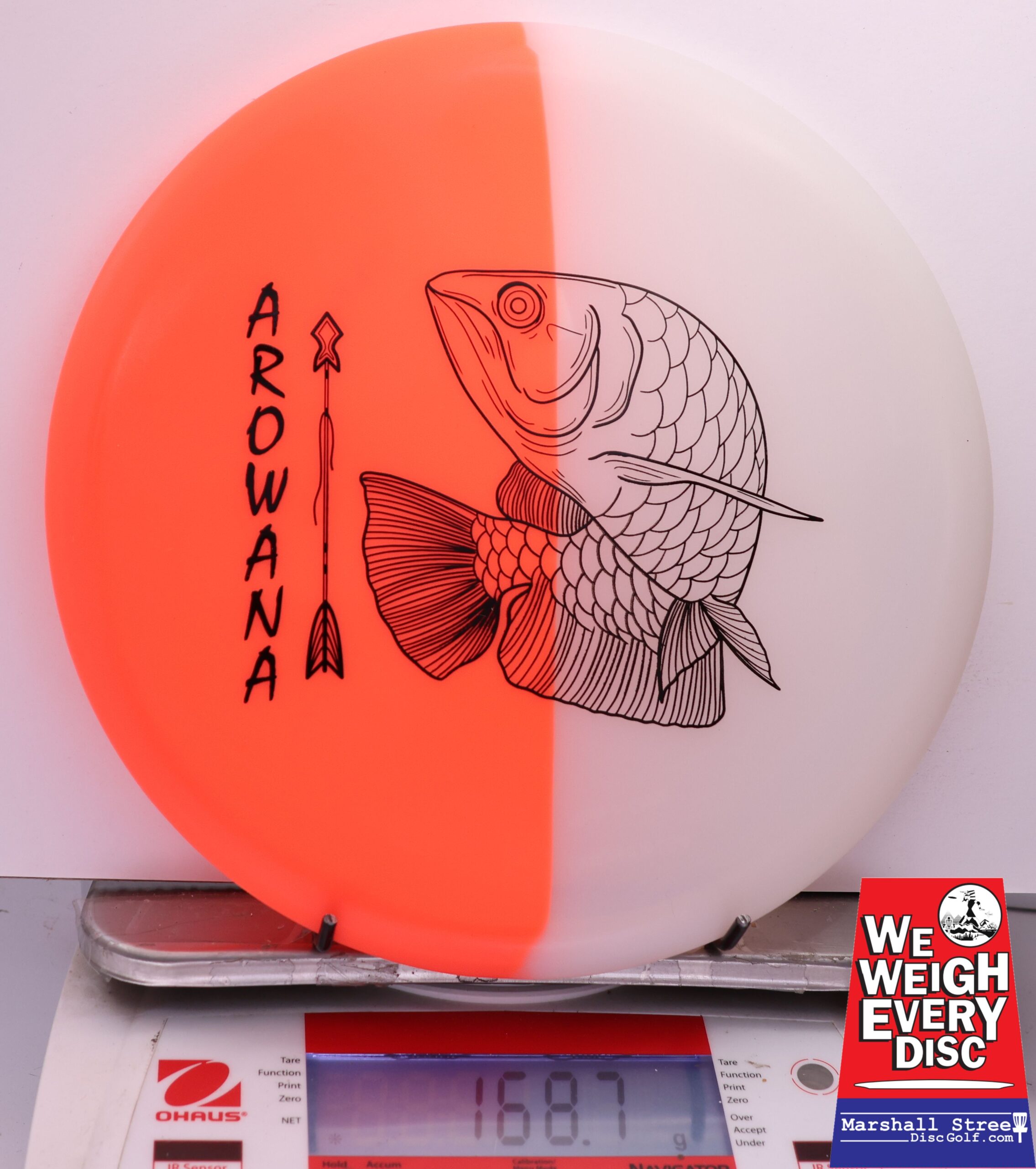 450563 glO-G Arowana - #11 NRedGlow, 169