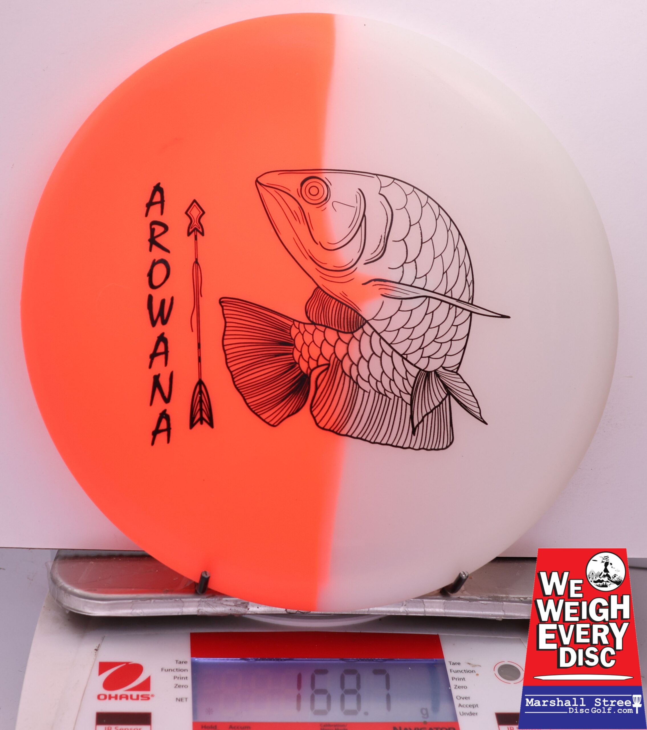 450568 glO-G Arowana - #16 NRedGlow, 169