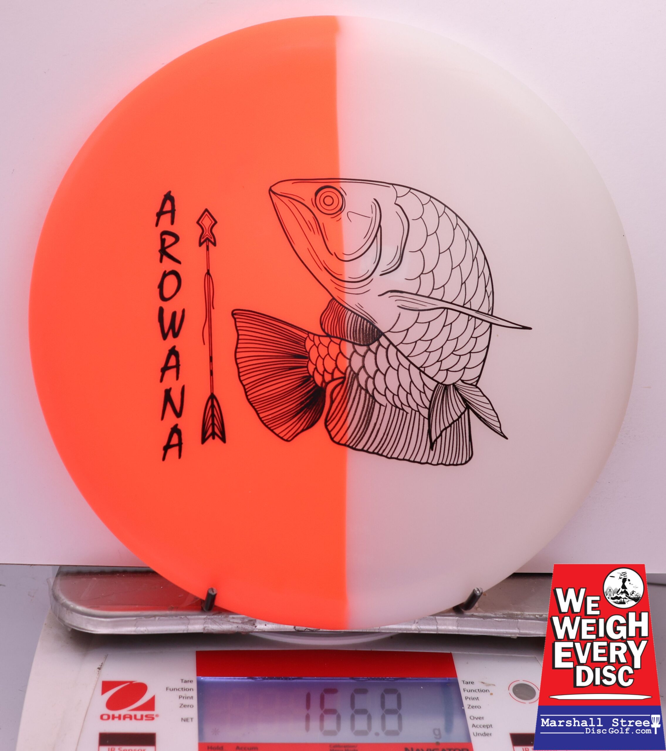 450569 glO-G Arowana - #17 NRedGlow, 167