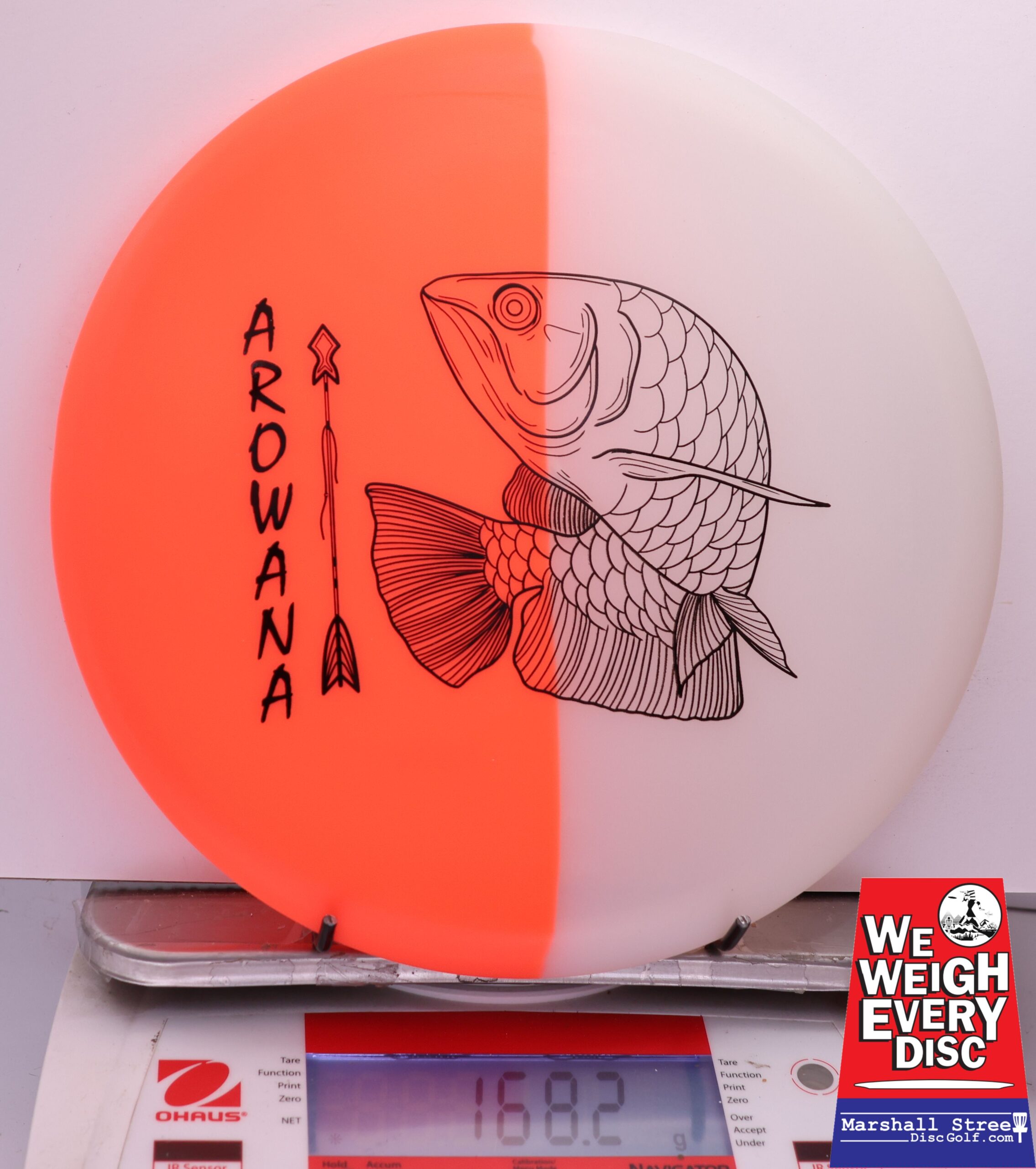 450570 glO-G Arowana - #18 NRedGlow, 168