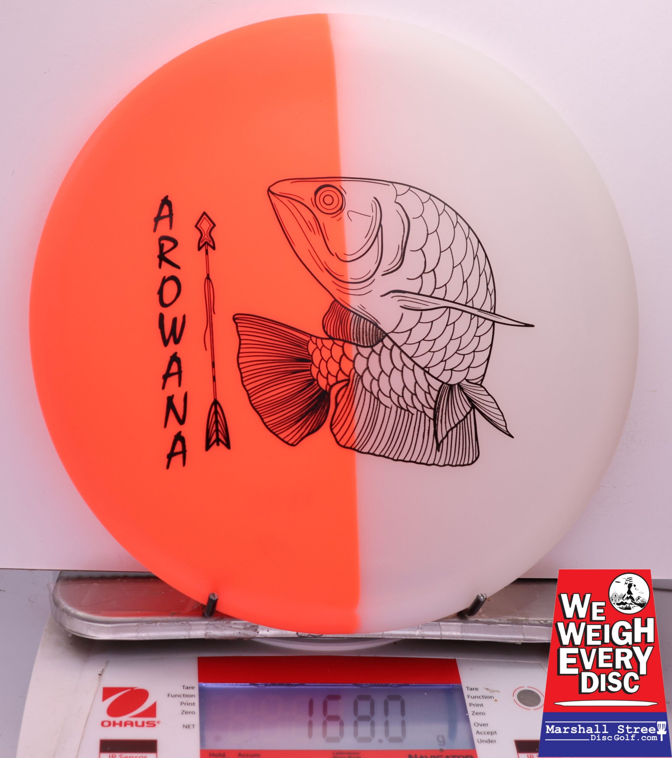 450571 glO-G Arowana - #19 NRedGlow, 168