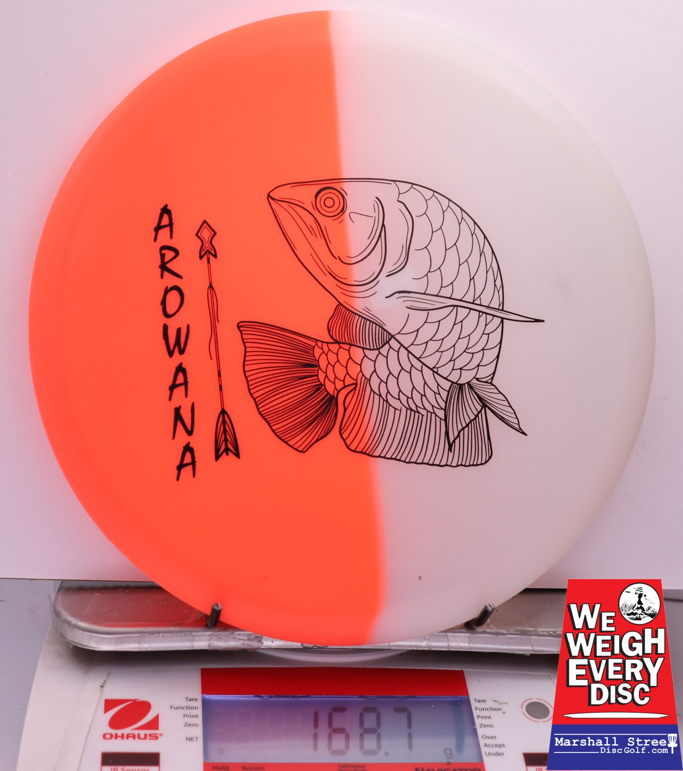 450573 glO-G Arowana - #21 NRedGlow, 169