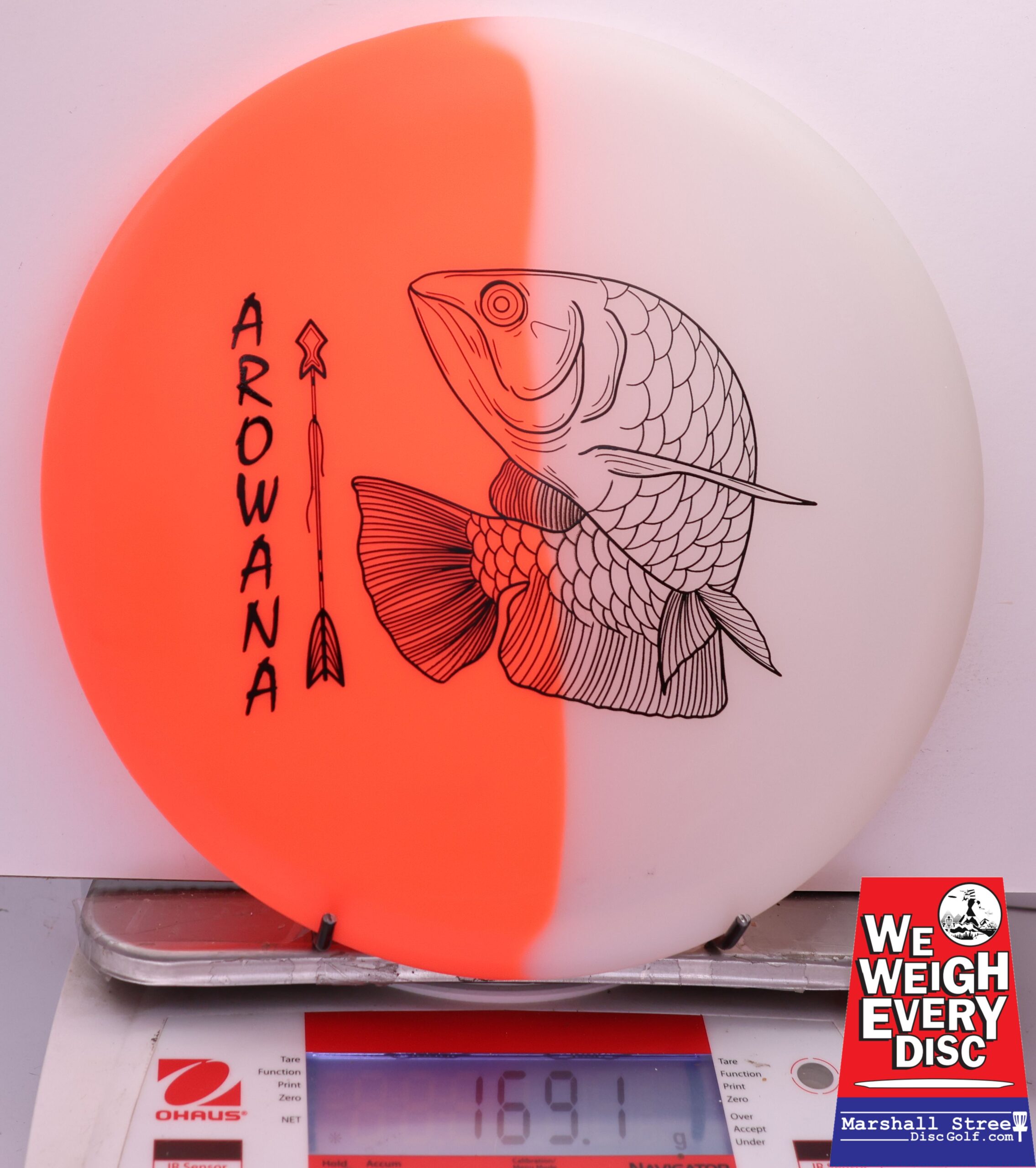 450574 glO-G Arowana - #22 NRedGlow, 169