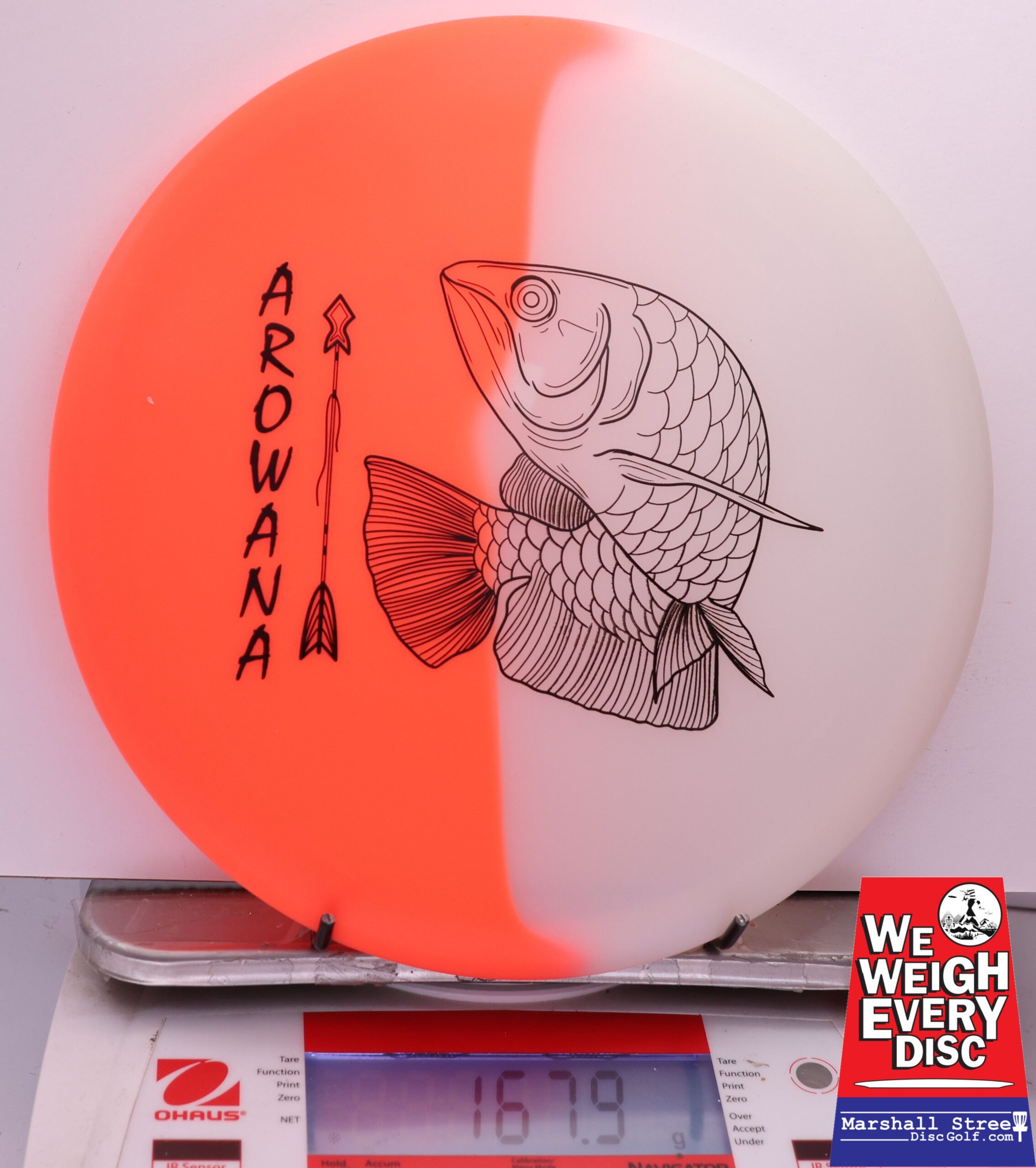 450576 glO-G Arowana - #24 NRedGlow, 168