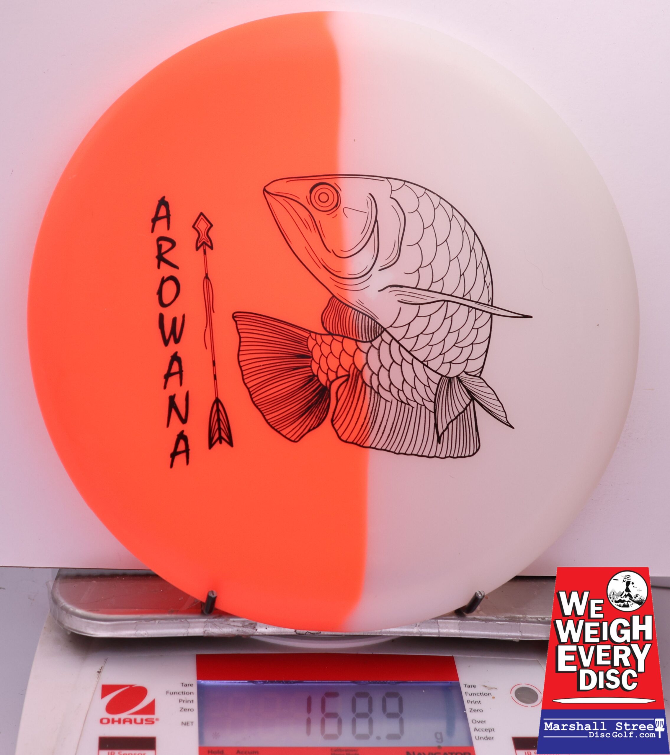 450578 glO-G Arowana - #26 NRedGlow, 169