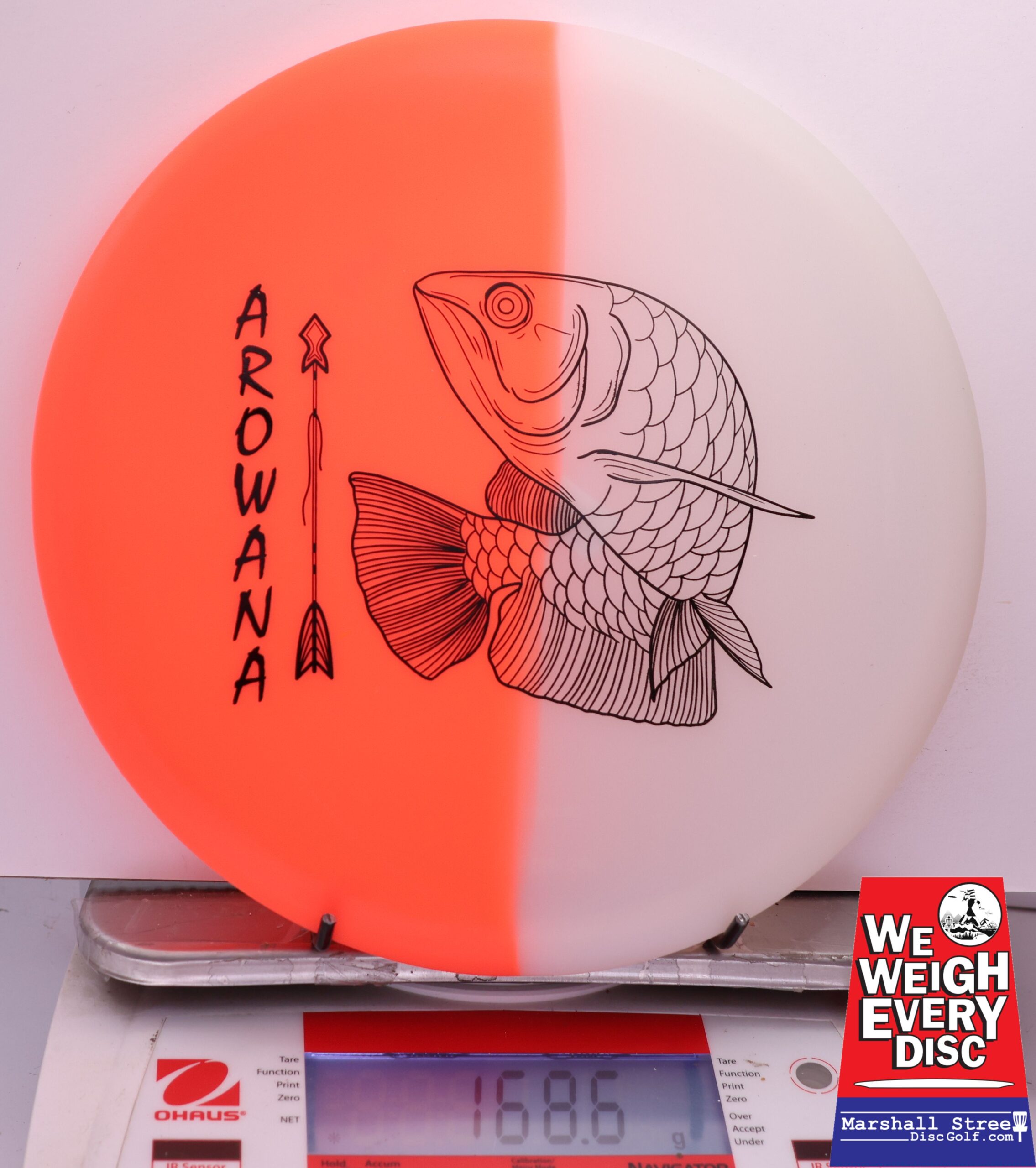 450579 glO-G Arowana - #27 NRedGlow, 169