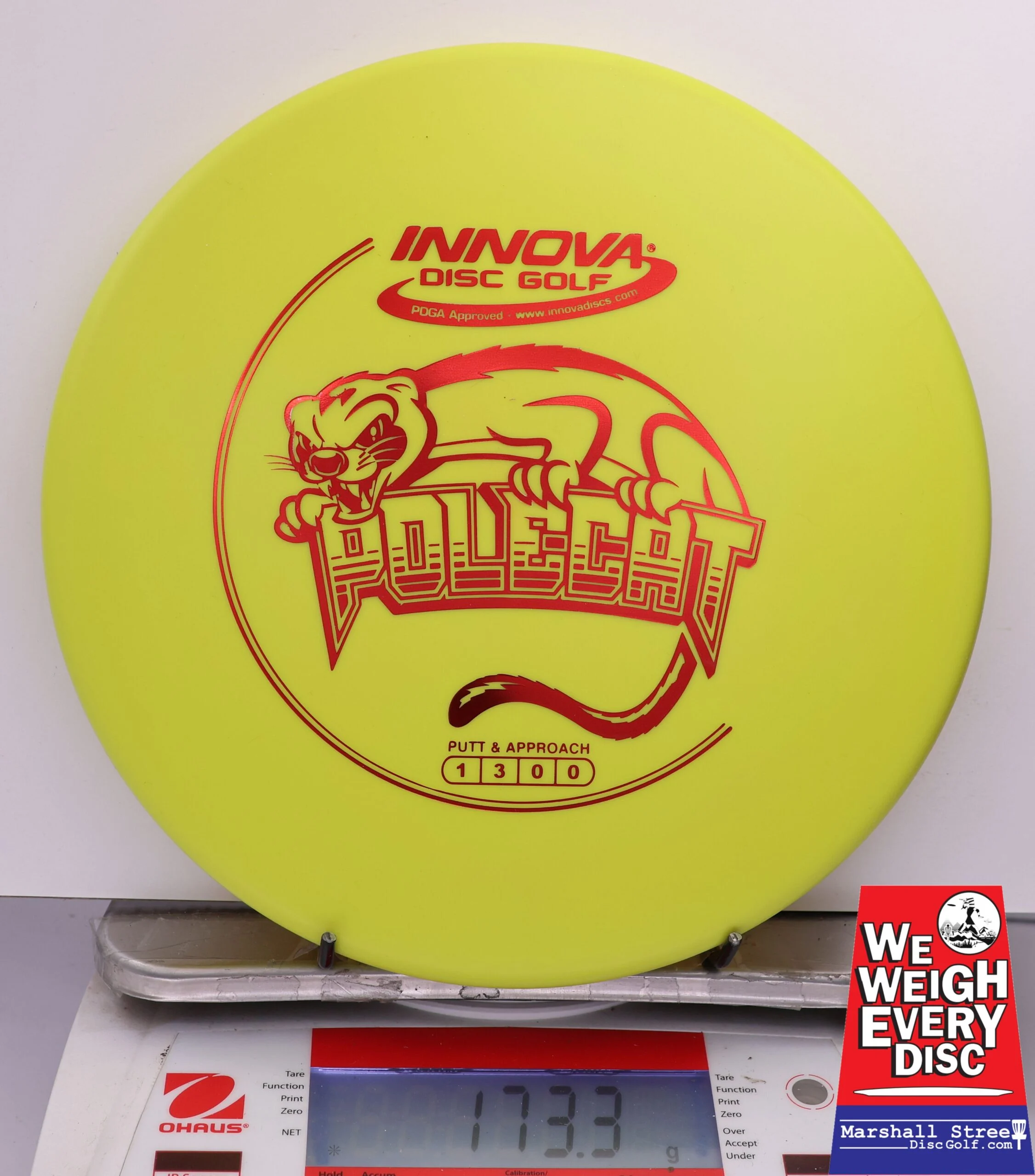 462546 DX Polecat - #01 Yellow, 173