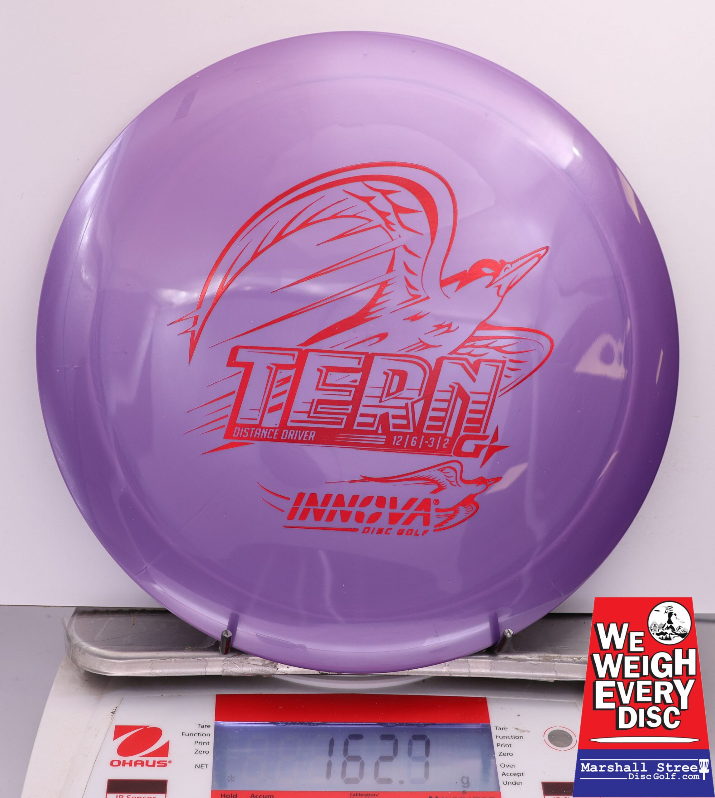 463334 GStar Tern - #07 Purple, 163