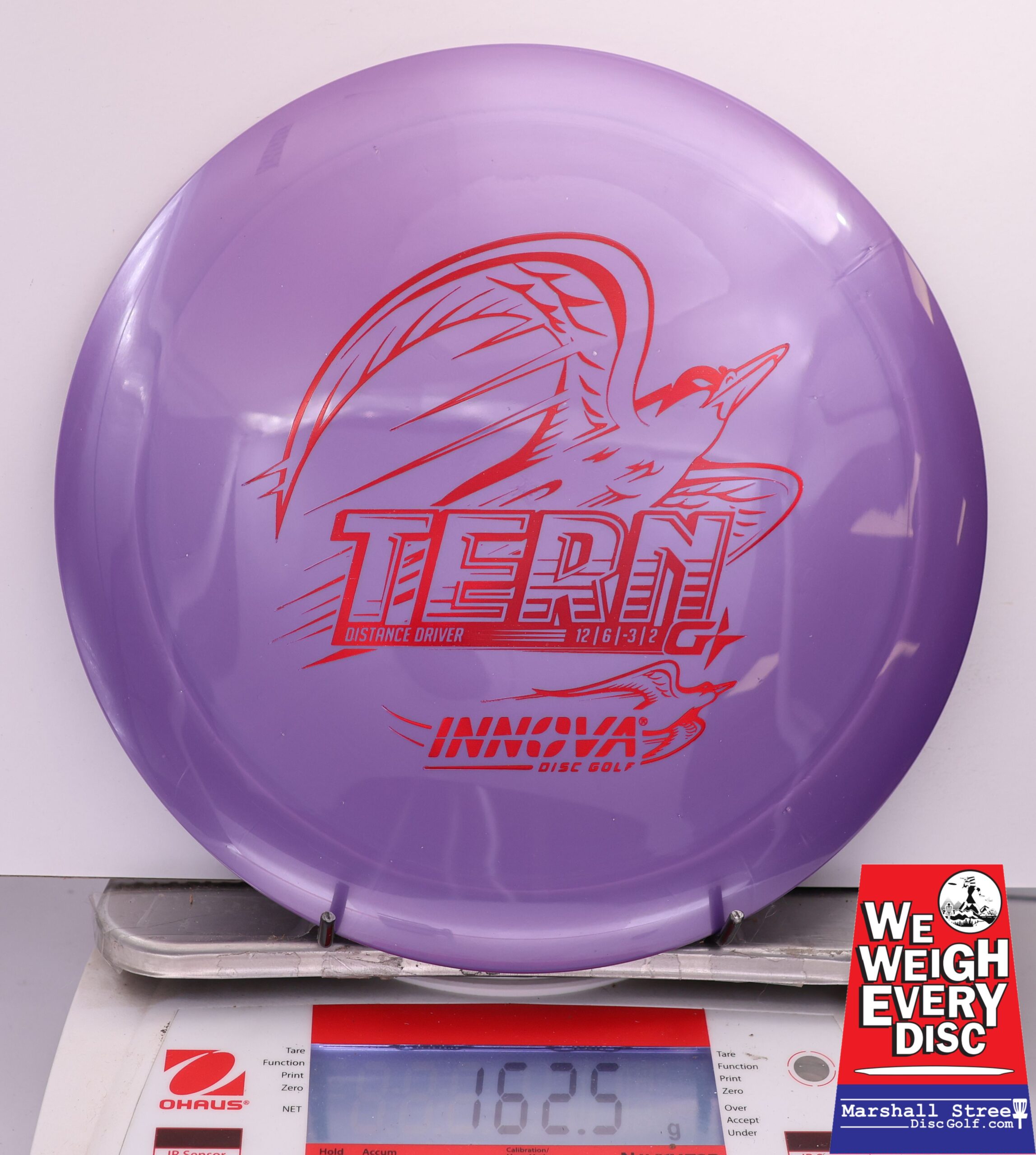 463335 GStar Tern - #08 Purple, 163