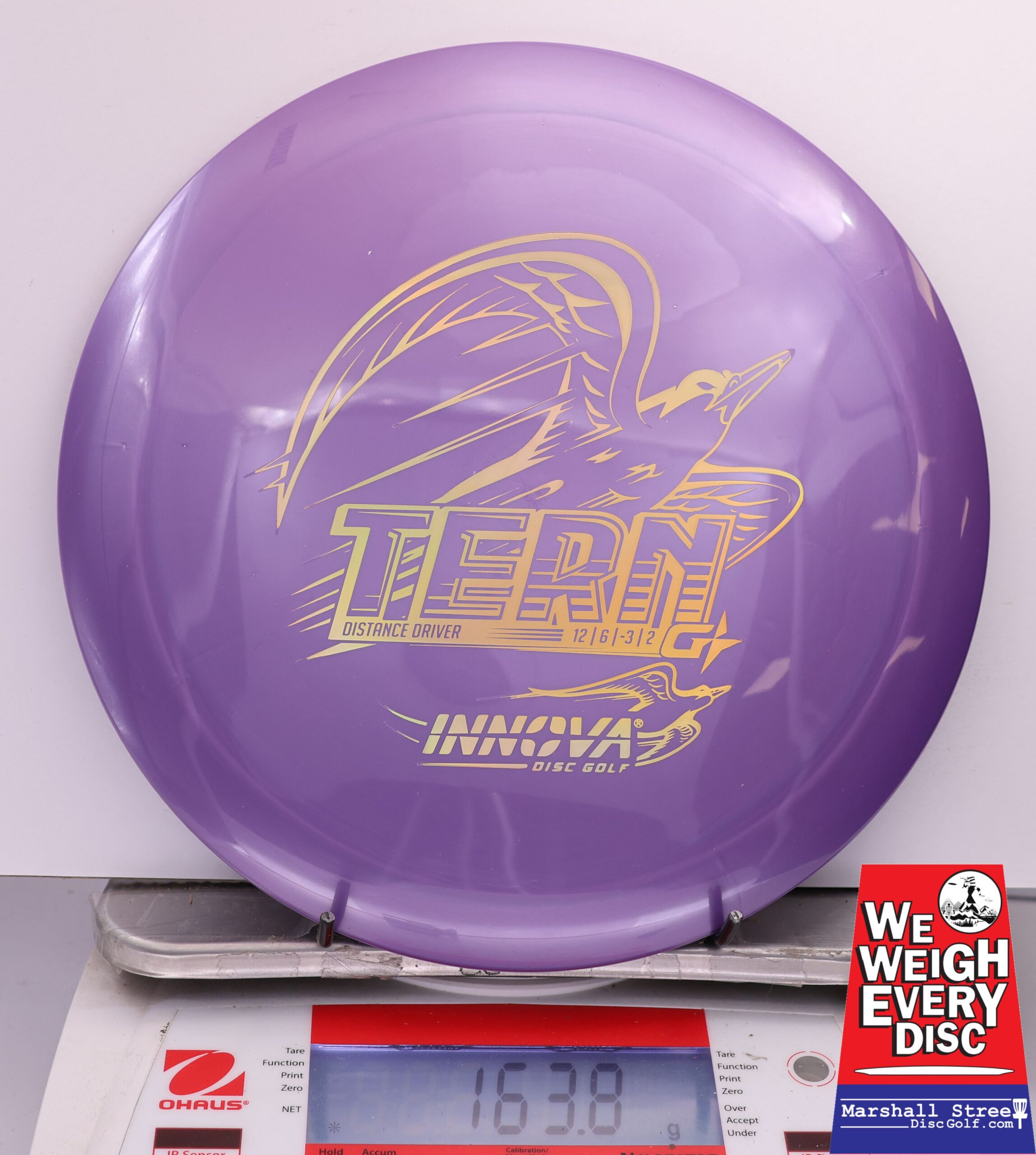 463337 GStar Tern - #10 Purple, 164