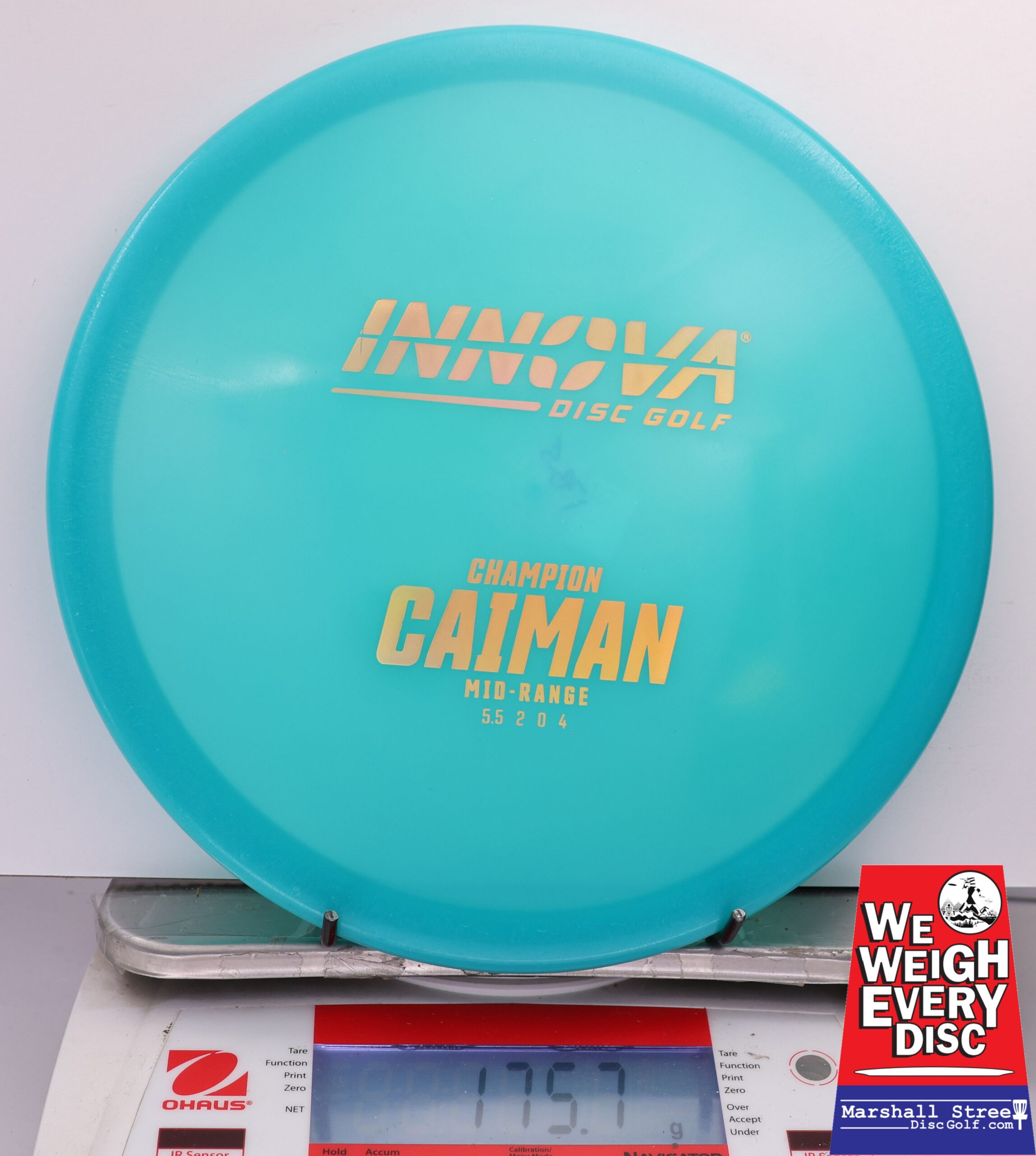 463690 Champion Caiman - #01 LtBlue, 176