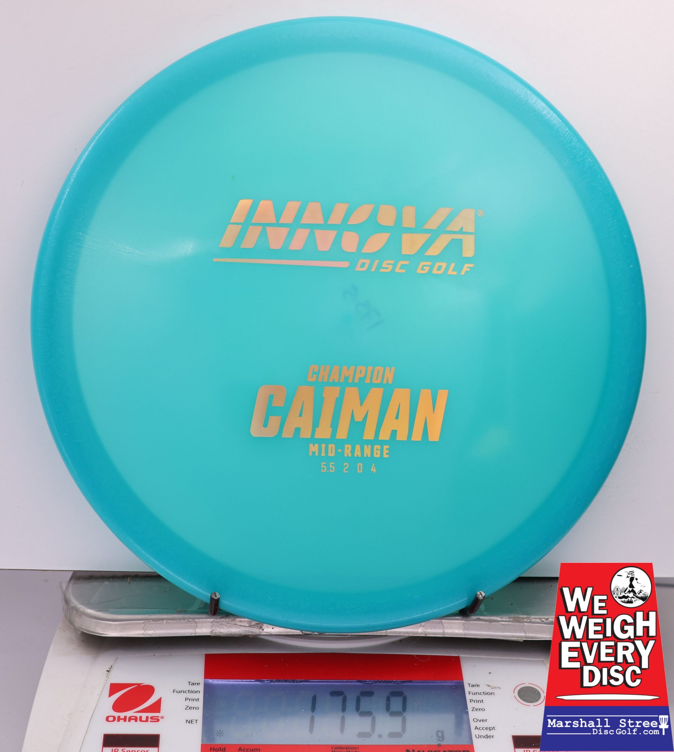 463692 Champion Caiman - #03 LtBlue, 176