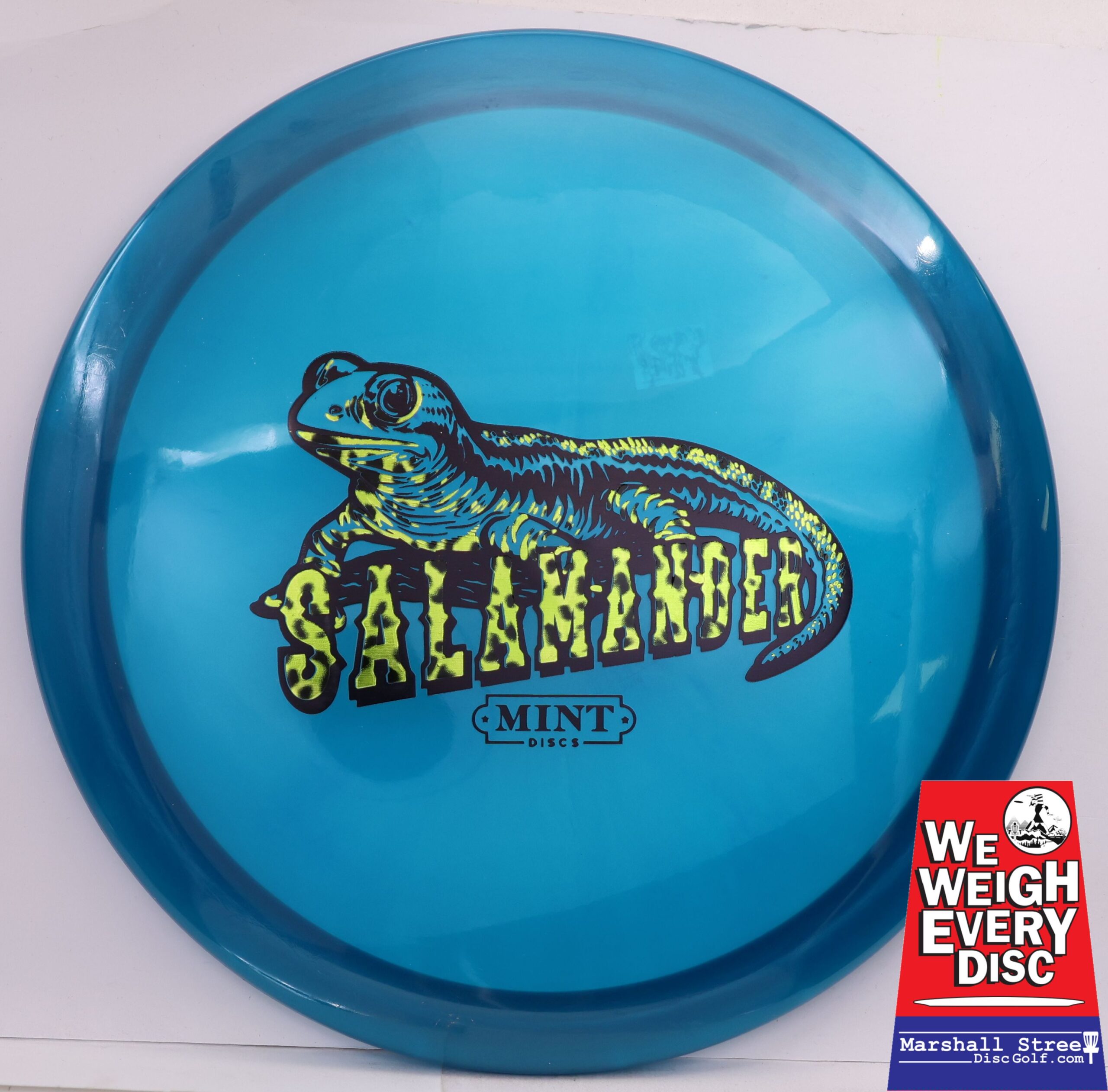 Eternal Salamander • Marshall Street Disc Golf