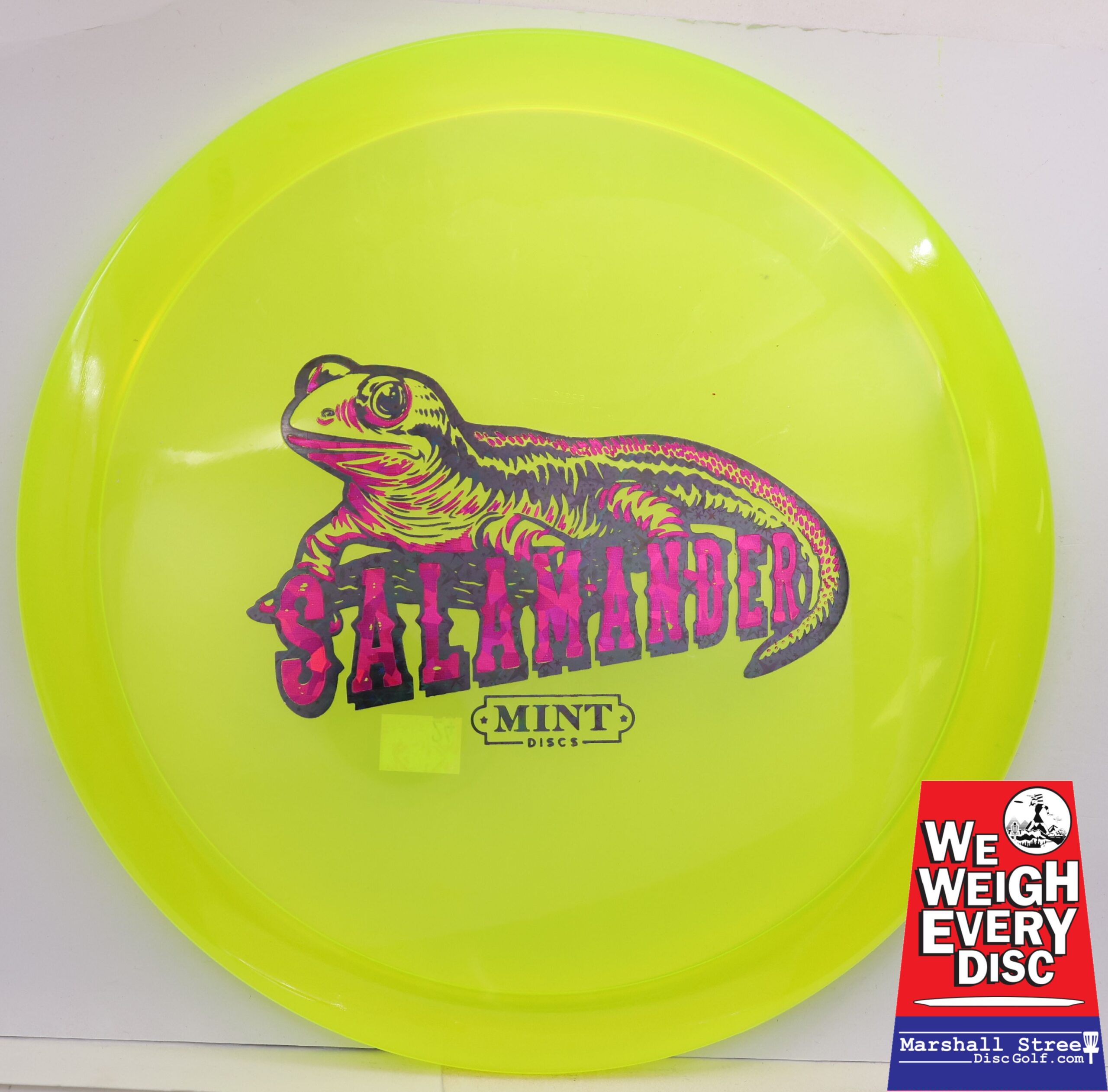 Eternal Salamander - Image 2