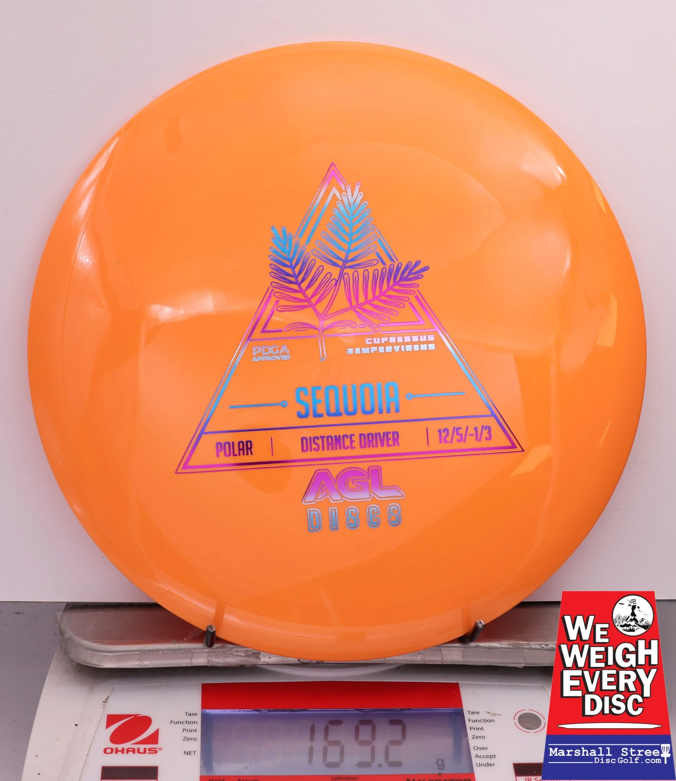 480424 Polar Sequoia - #15 Orange, 169