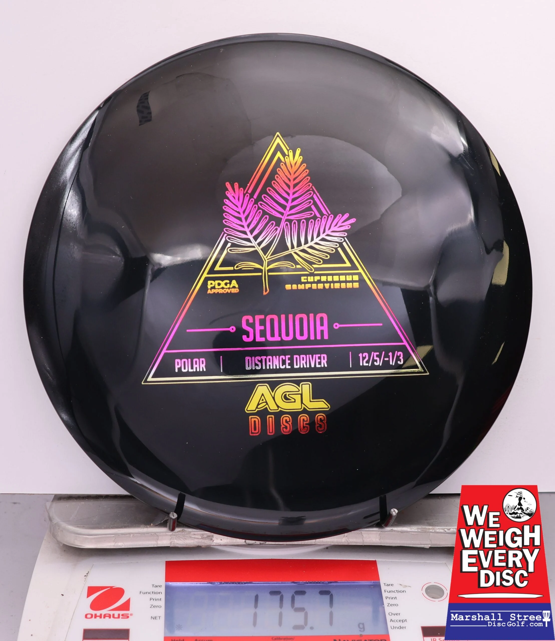 480442 Polar Sequoia - #23 Black, 176