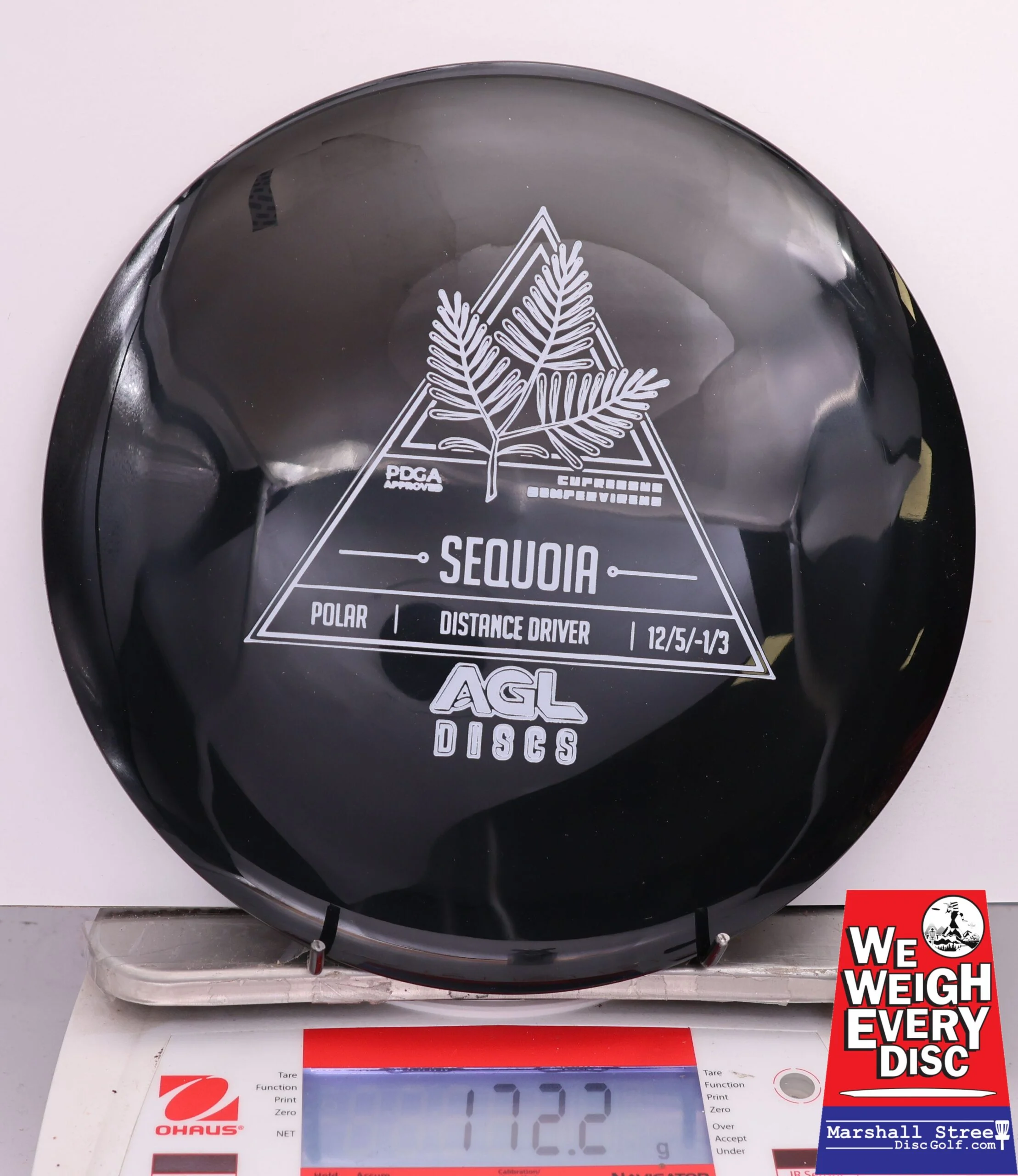 480443 Polar Sequoia - #24 Black, 172