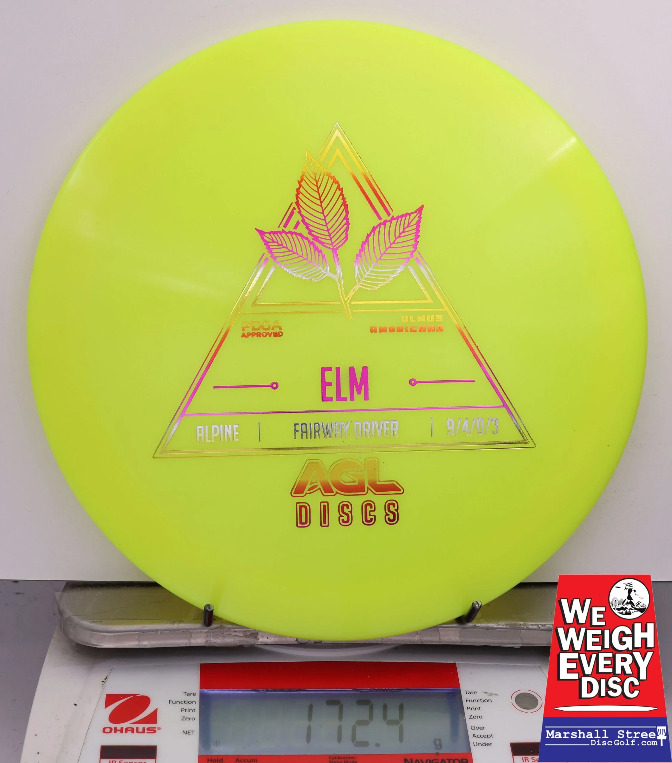 484961 Alpine Elm - #13 NYellow, 172