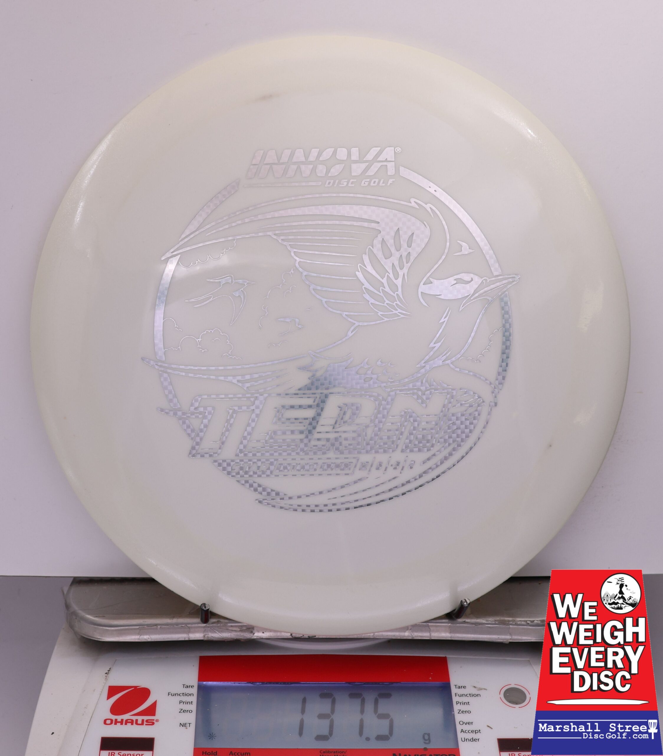 485564 Star Tern - #44 White, 138