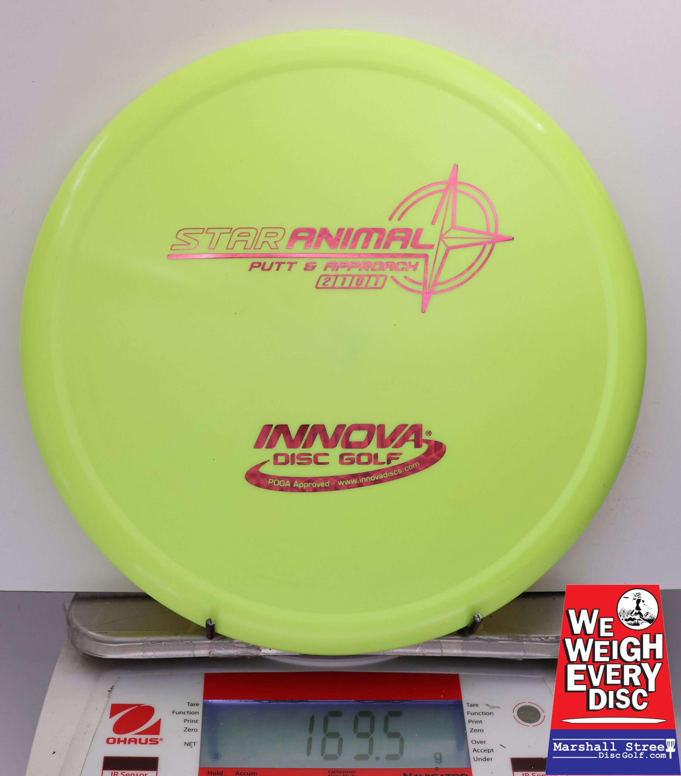 485599 Star Animal - #41 NYellow, 170