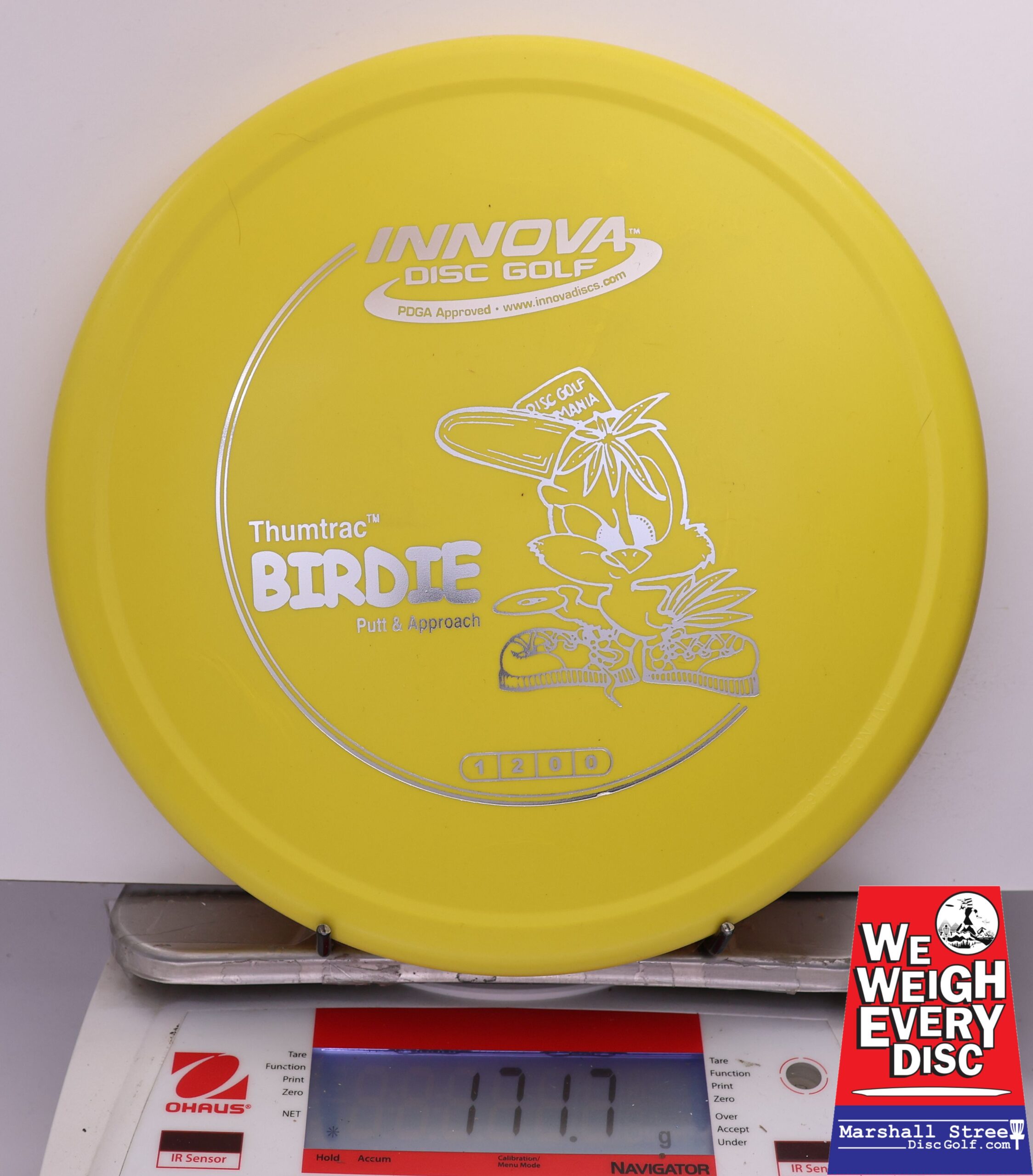 487031 DX Birdie - #41 Yellow, 172
