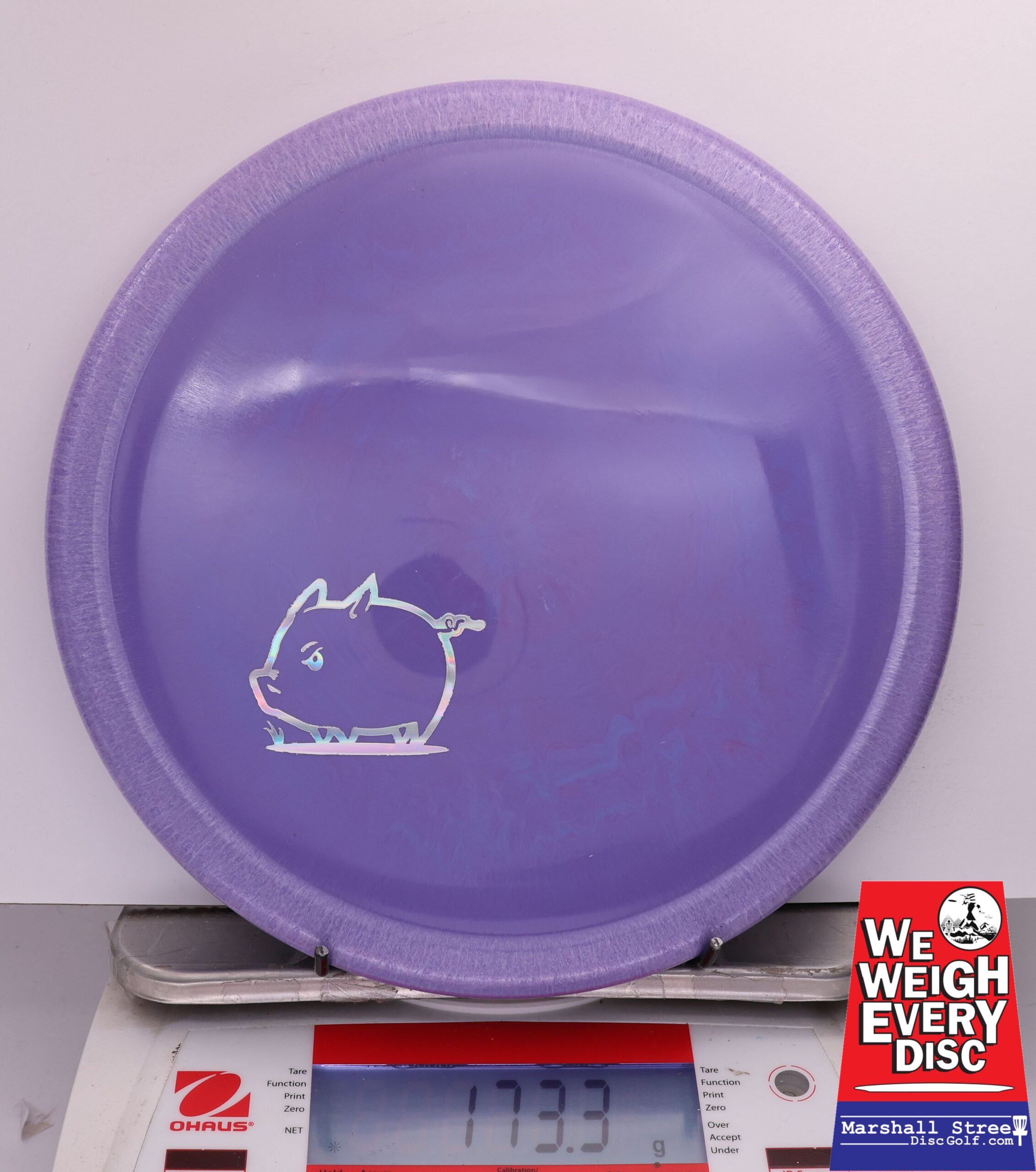488917 Star Pig, Little Piggy - #02 Purple, 173