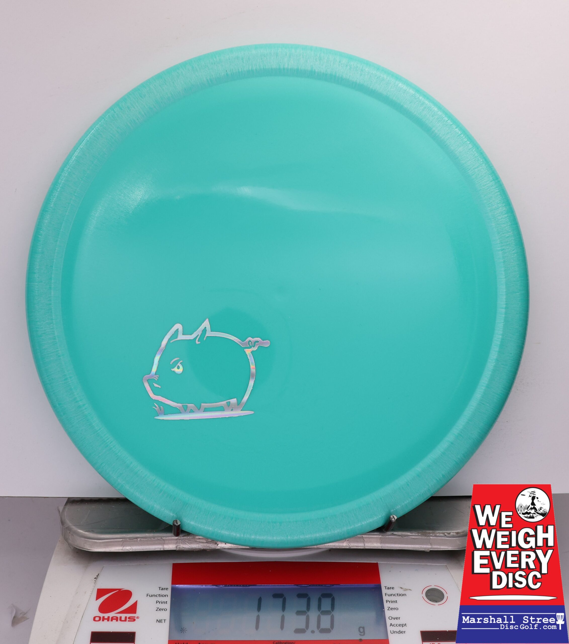 488920 Star Pig, Little Piggy - #05 Teal, 174