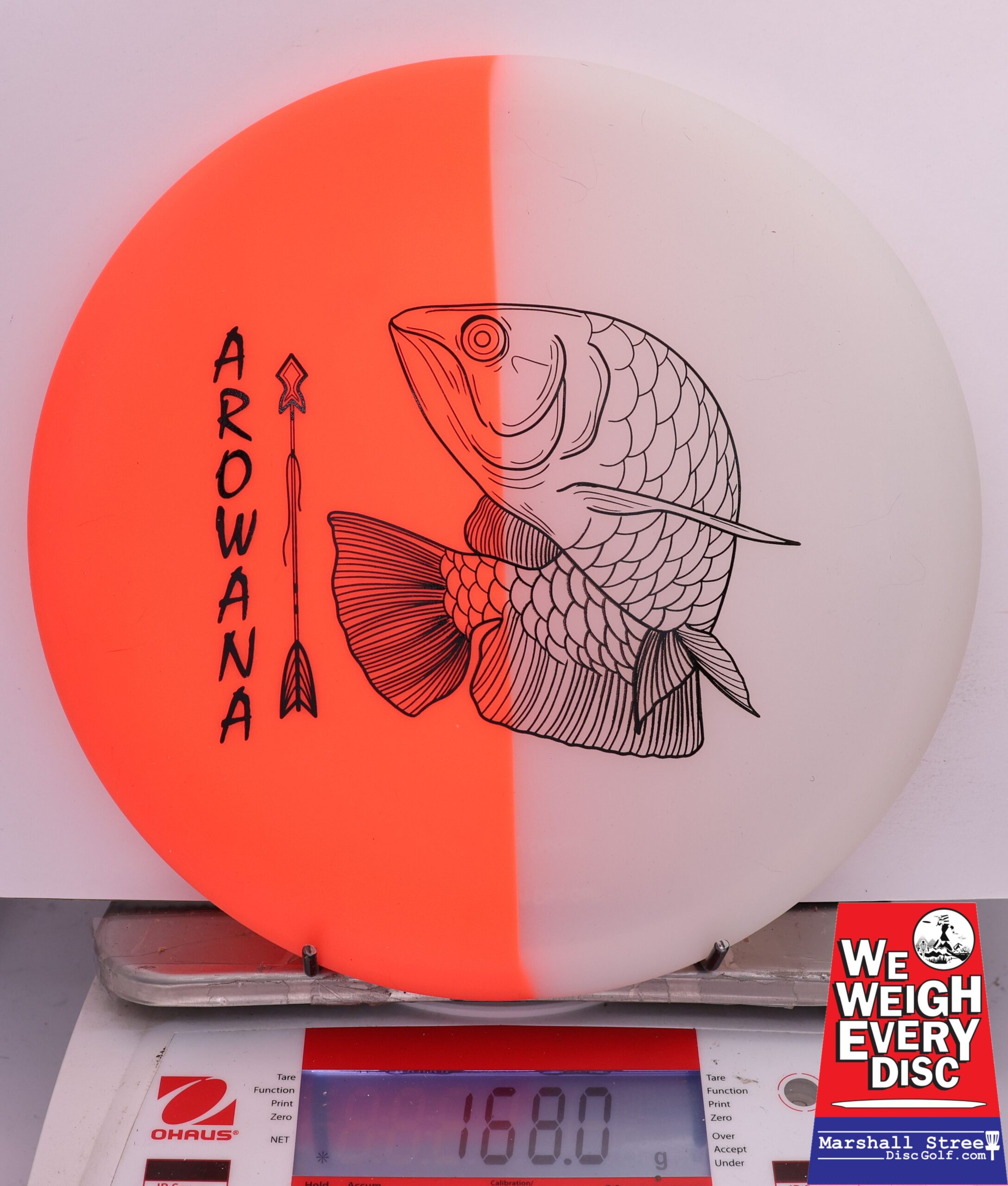 500019 glO-G Arowana - #40 OrangeGlow, 168
