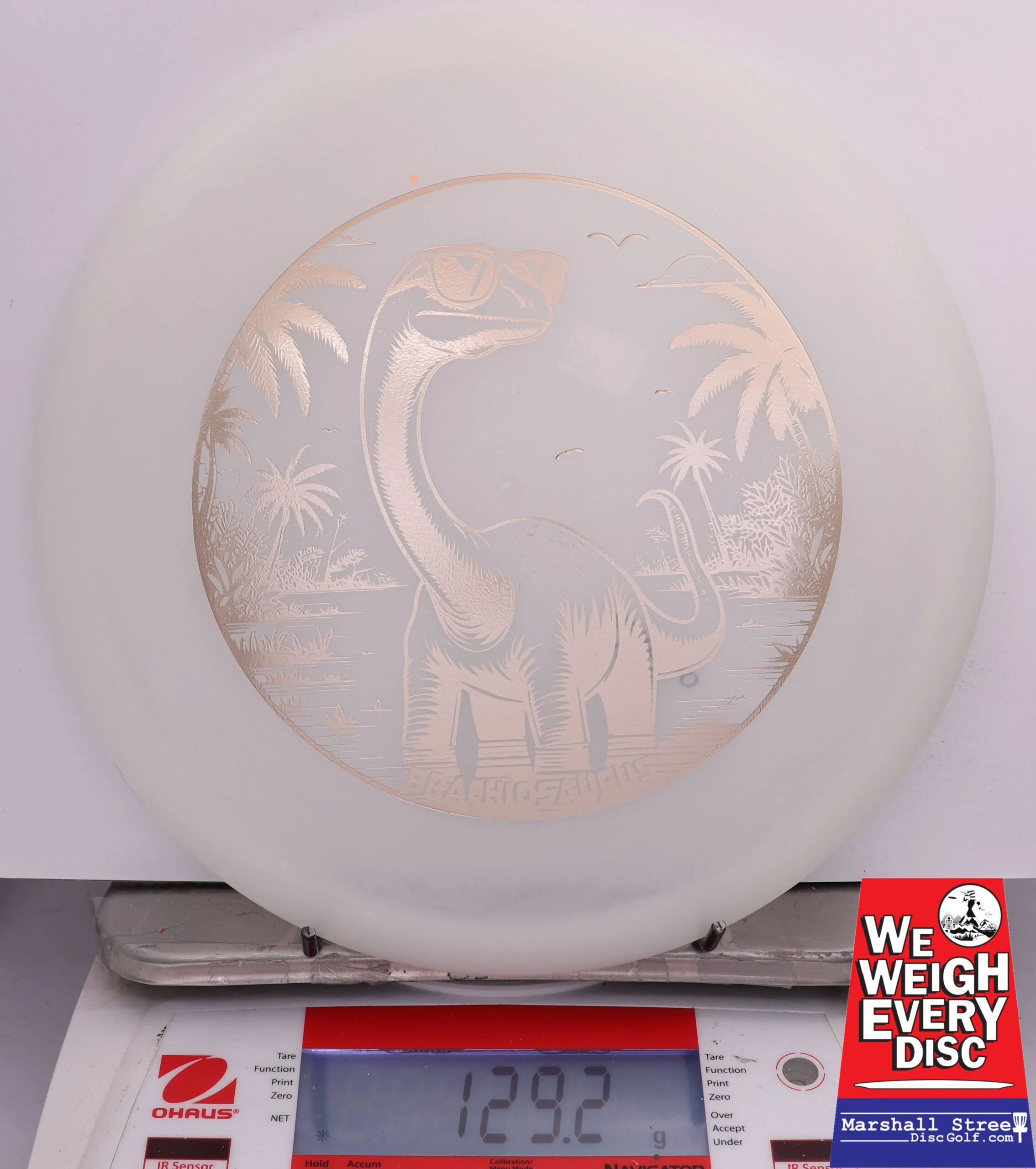 500340 Glow Egg Shell Brachiosaurus - #485 White Glow, 129