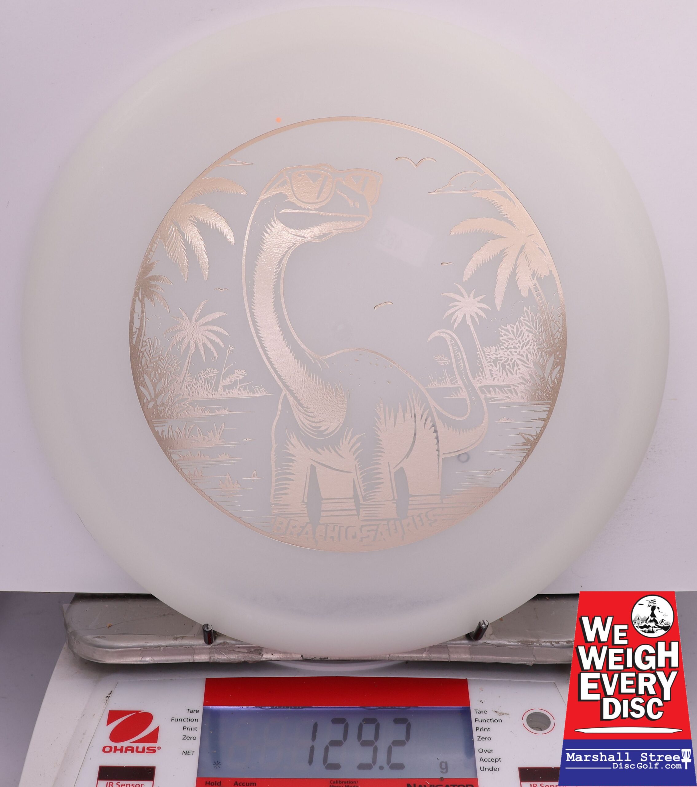 500340 Glow Egg Shell Brachiosaurus - #485 White Glow, 129