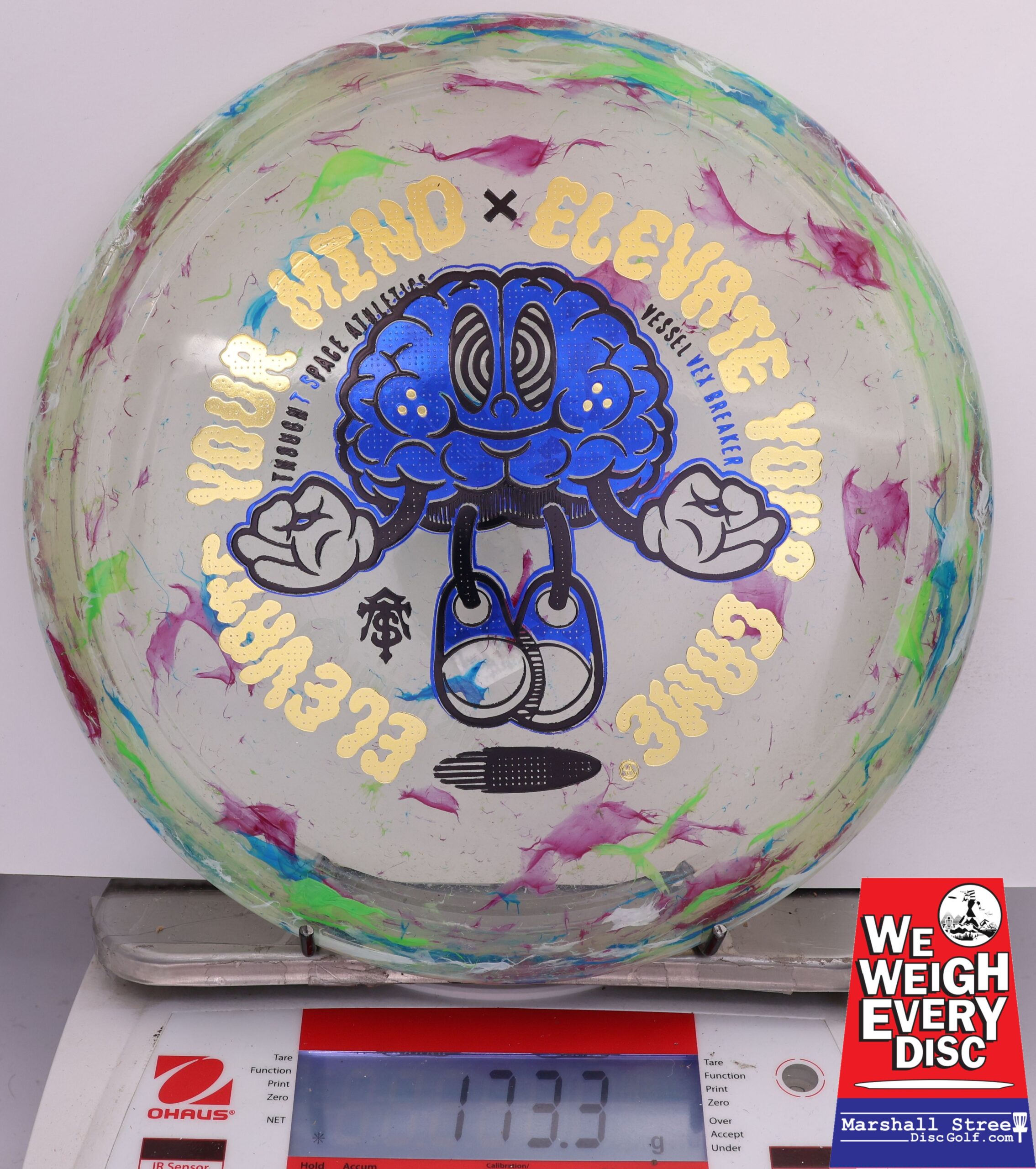 500962 Vex Breaker Vessel - #480 GreenPurple, 173