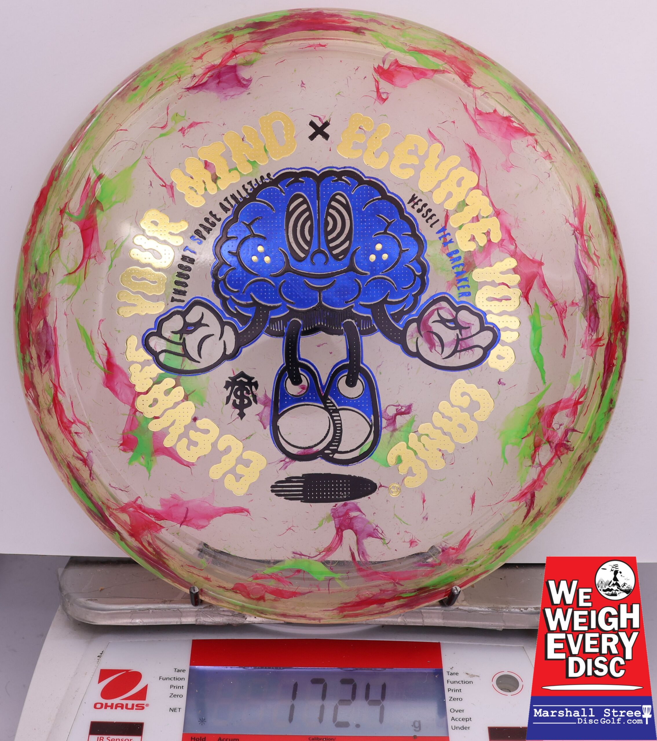 500975 Vex Breaker Vessel - #486 GreenRedPurple, 172