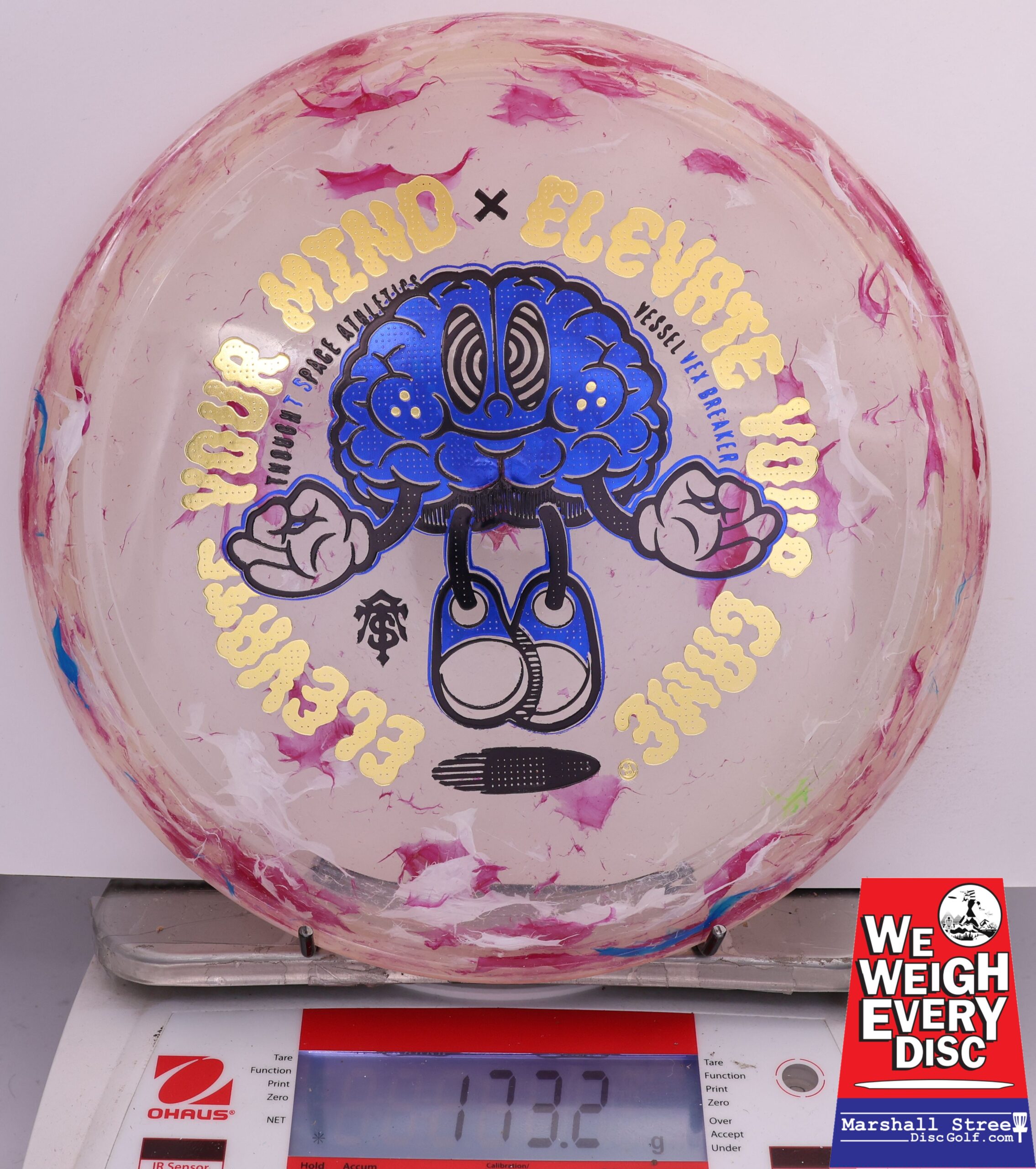 500983 Vex Breaker Vessel - #487 Berry, 173