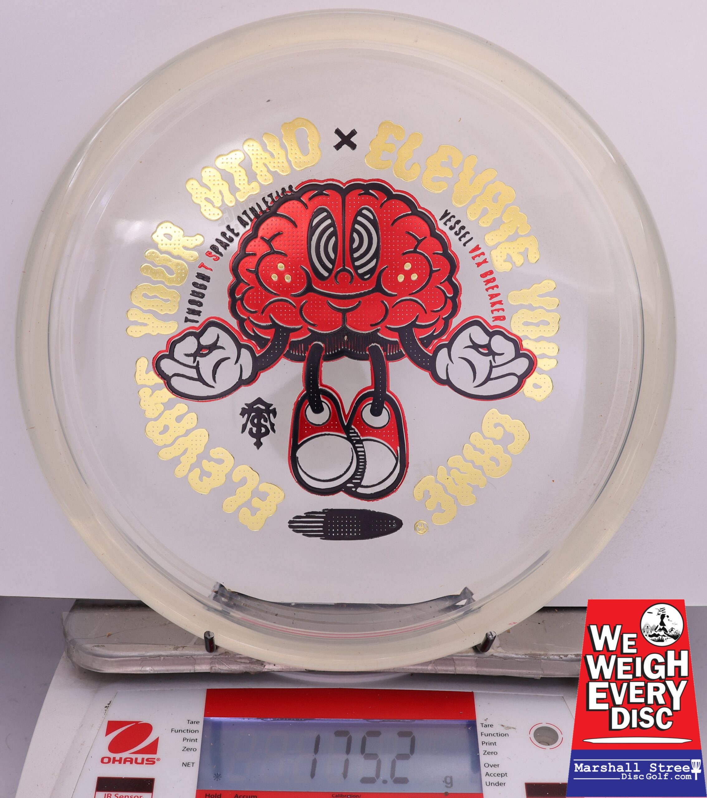 500984 Vex Breaker Vessel - #488 Clear, 175