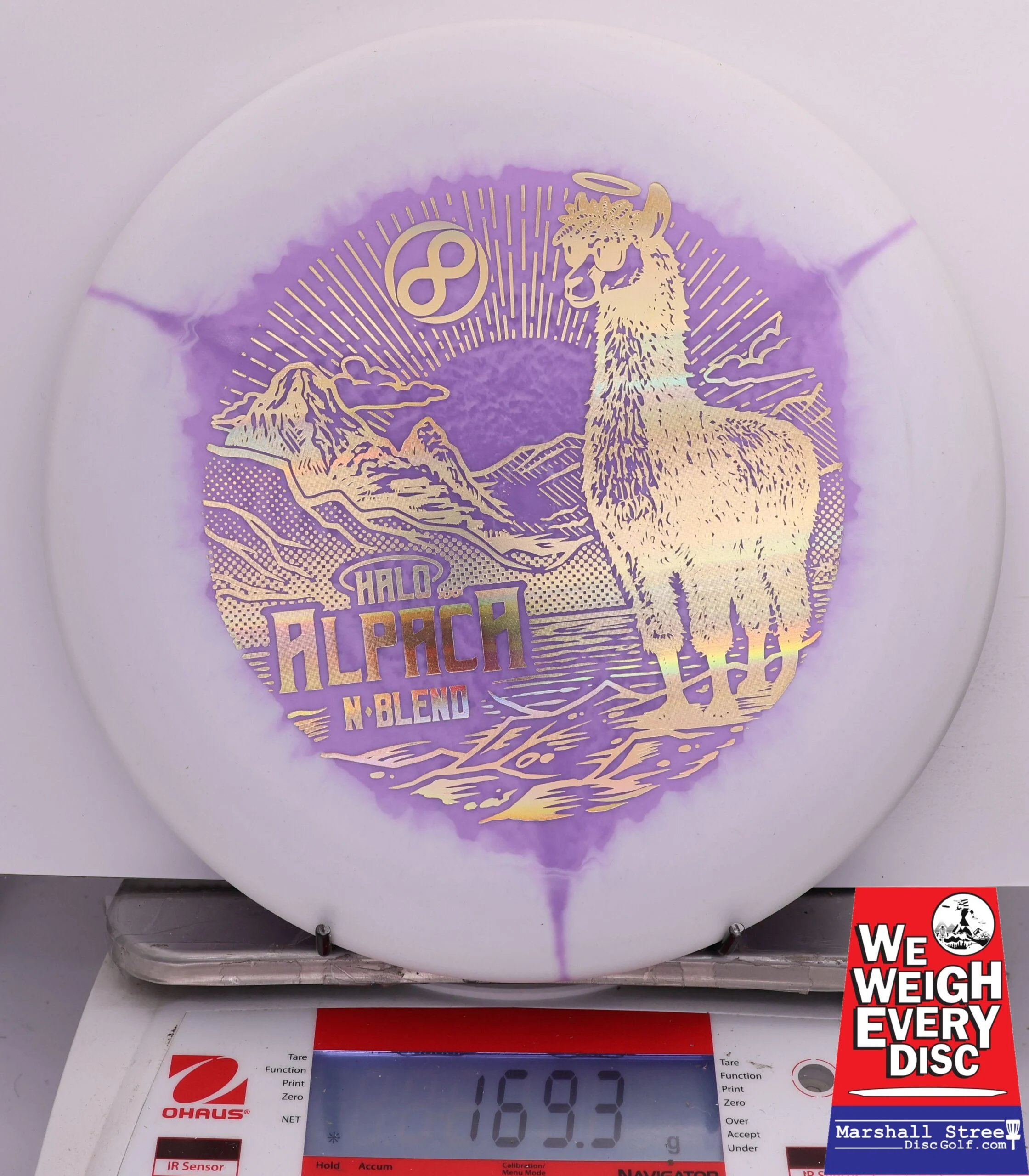 502411 Halo N-Blend Alpaca - #478 White-Purple, 169