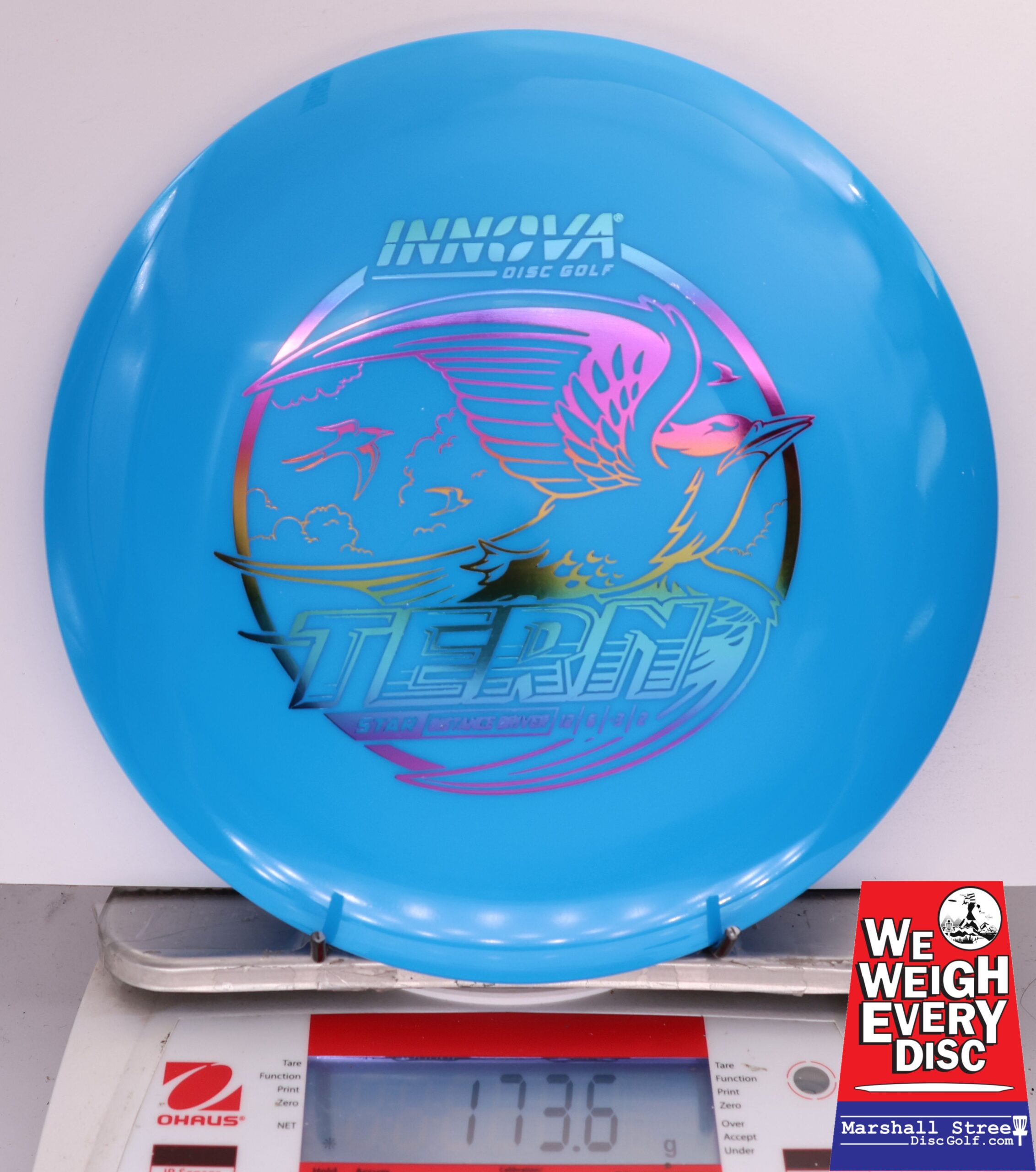 504725 Star Tern - #61 Blue, 174