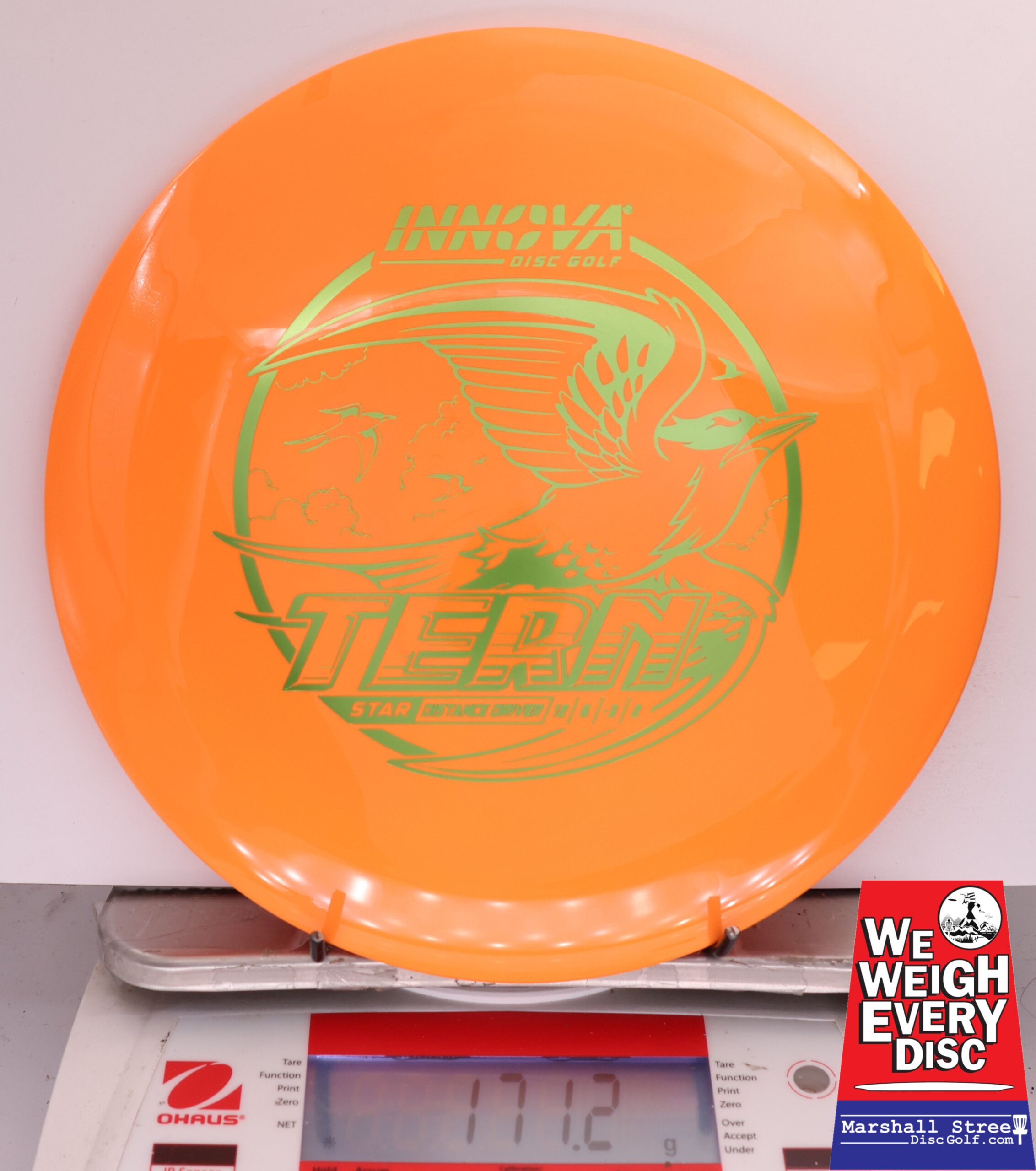 504775 Star Tern - #71 Orange, 171