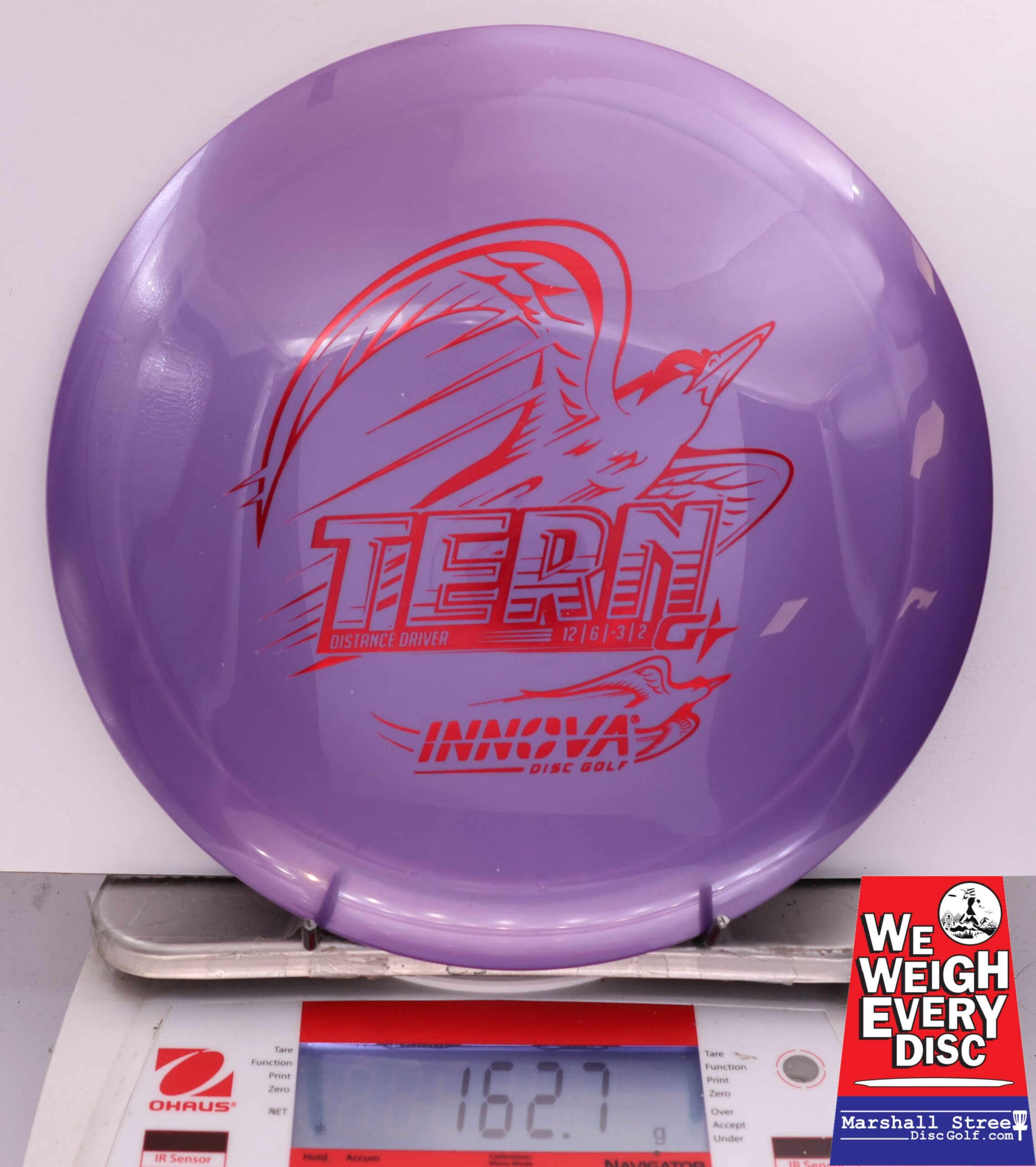 504853 GStar Tern - #61 Purple, 163