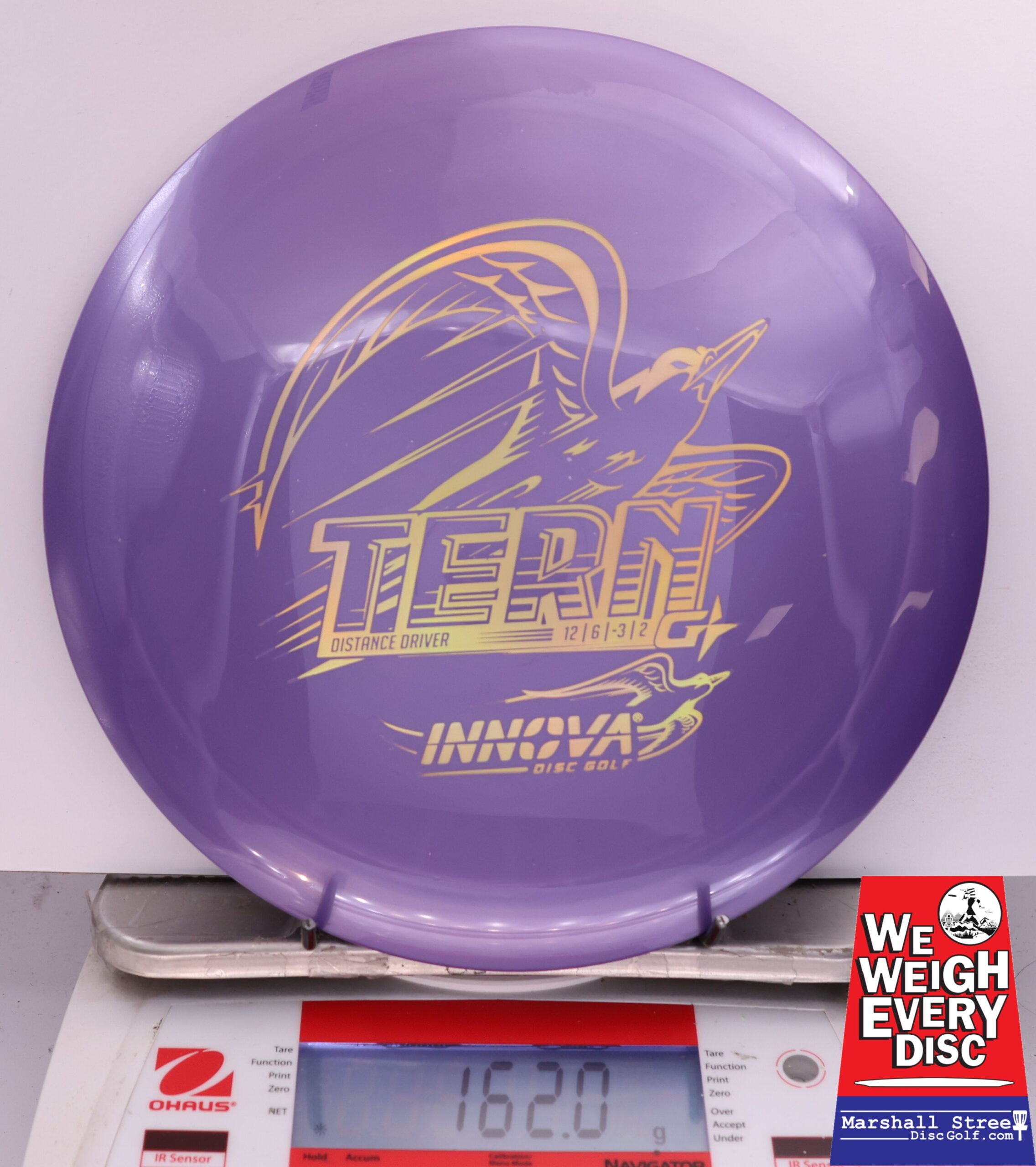 504854 GStar Tern - #62 Purple, 162