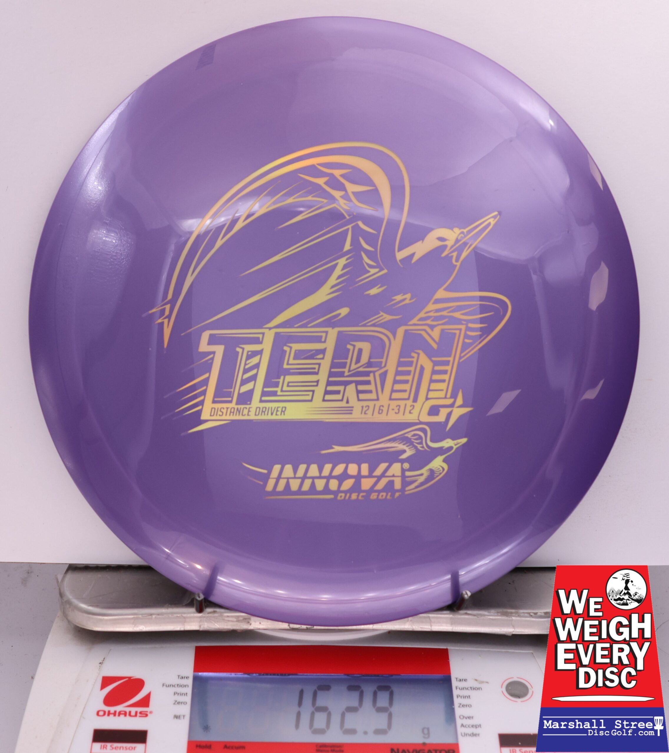 504855 GStar Tern - #63 Purple, 163