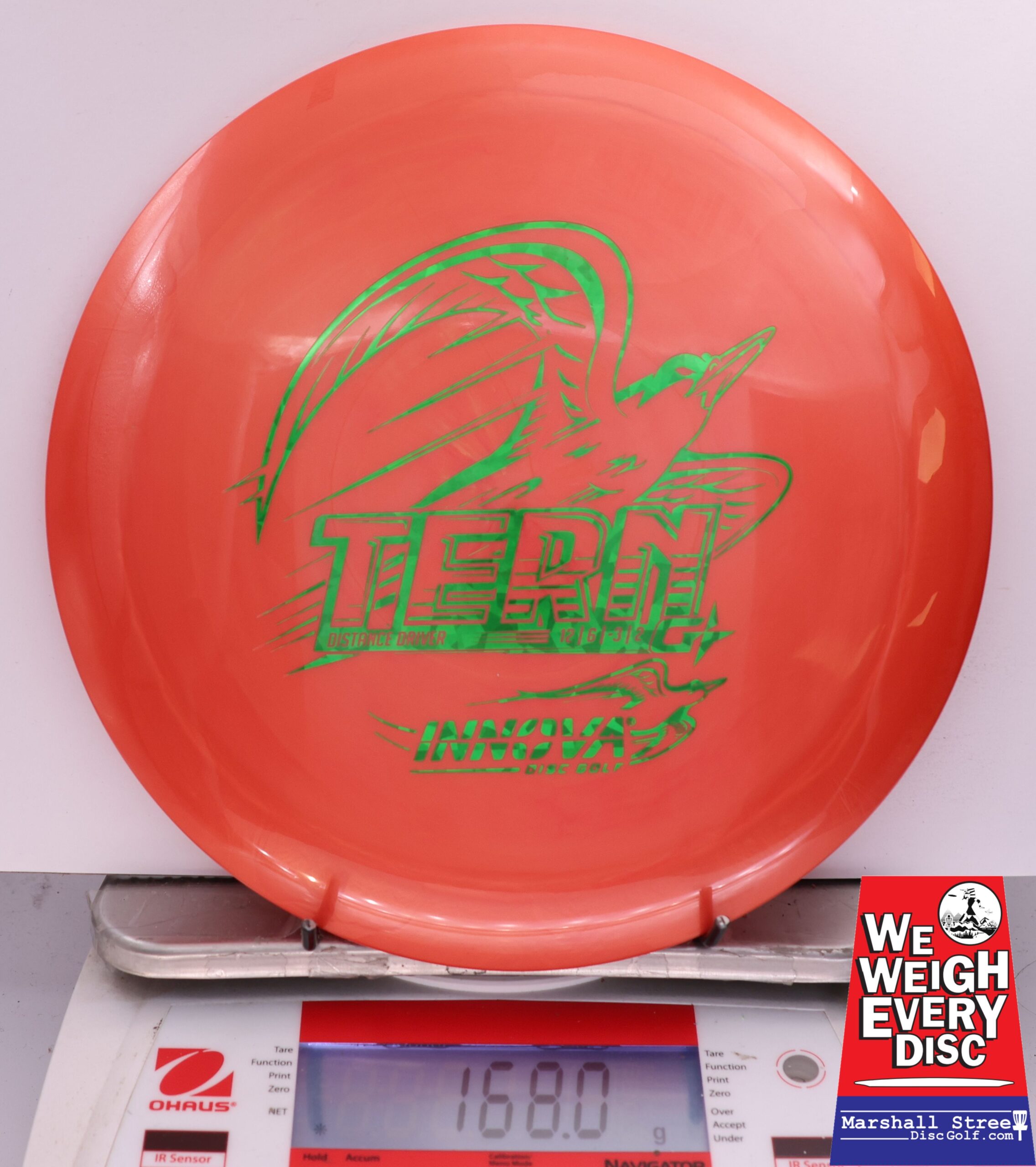 504868 GStar Tern - #67 Orange, 168