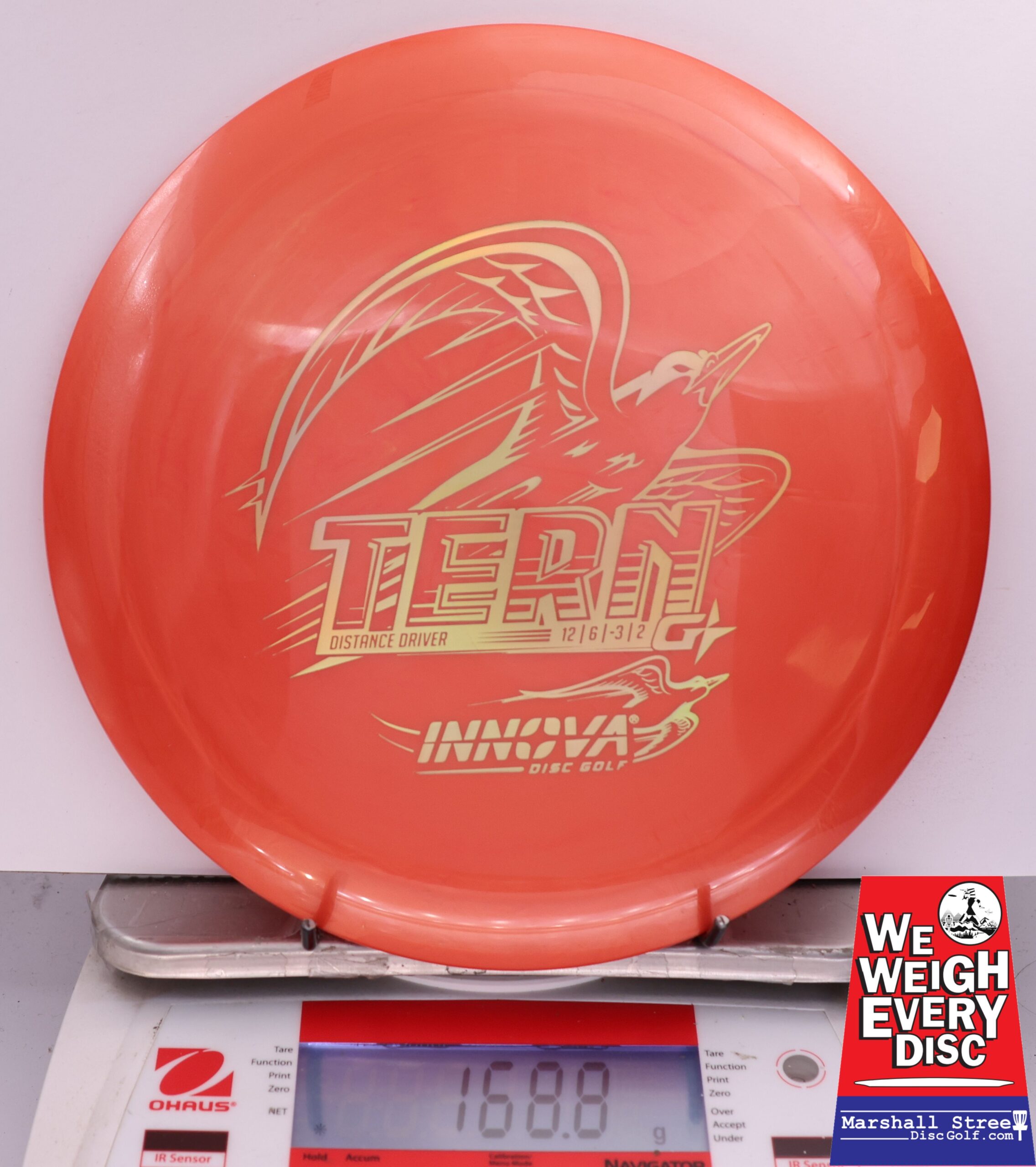 504869 GStar Tern - #68 Orange, 169