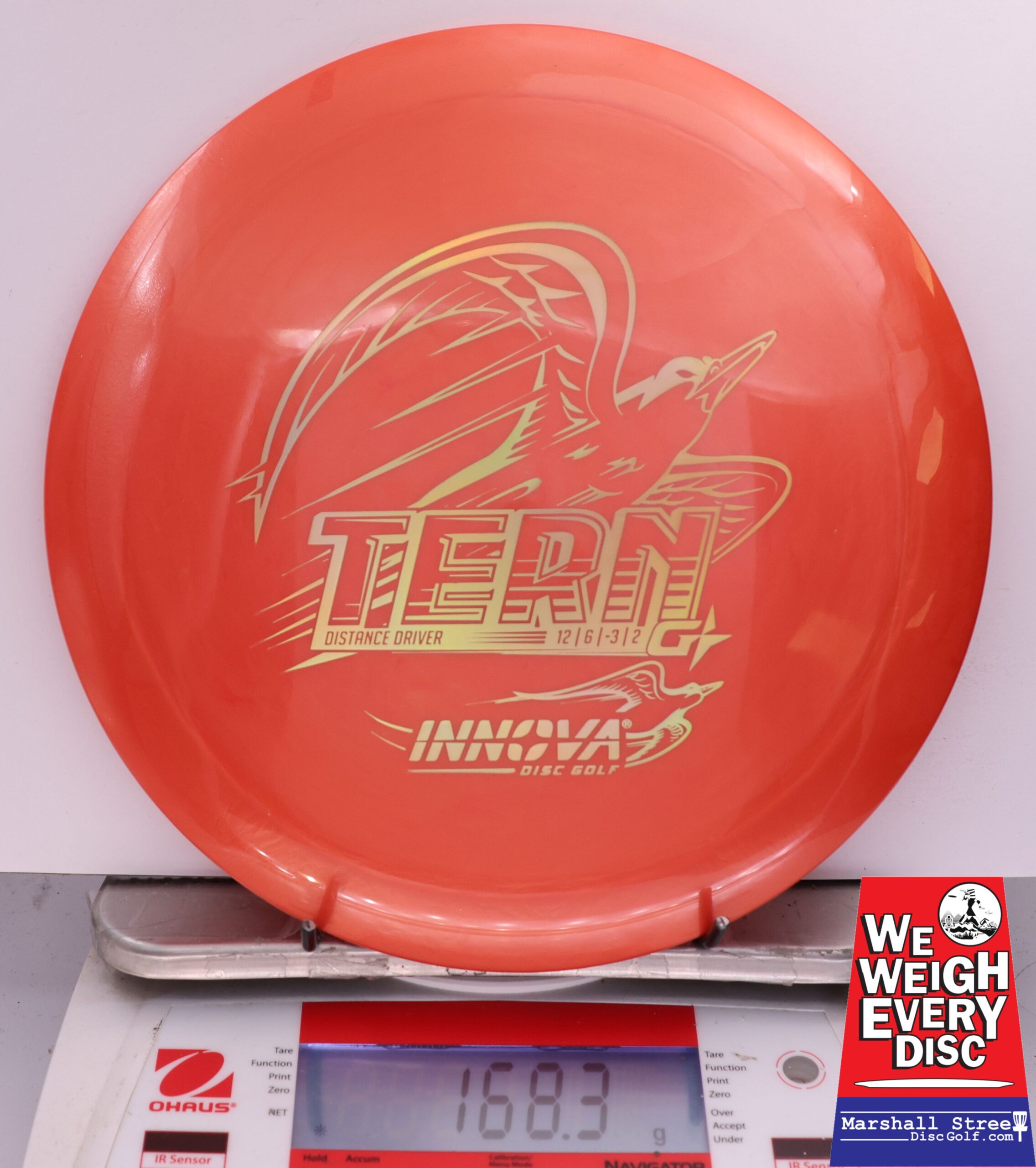 504870 GStar Tern - #69 Orange, 168