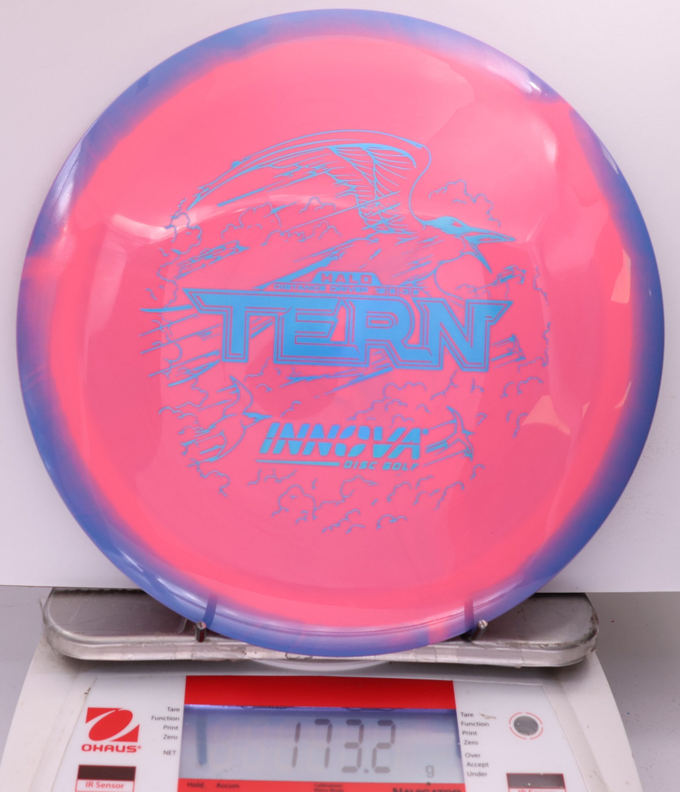 509220 Halo Star Tern - #201 Blurple-PInk, 173