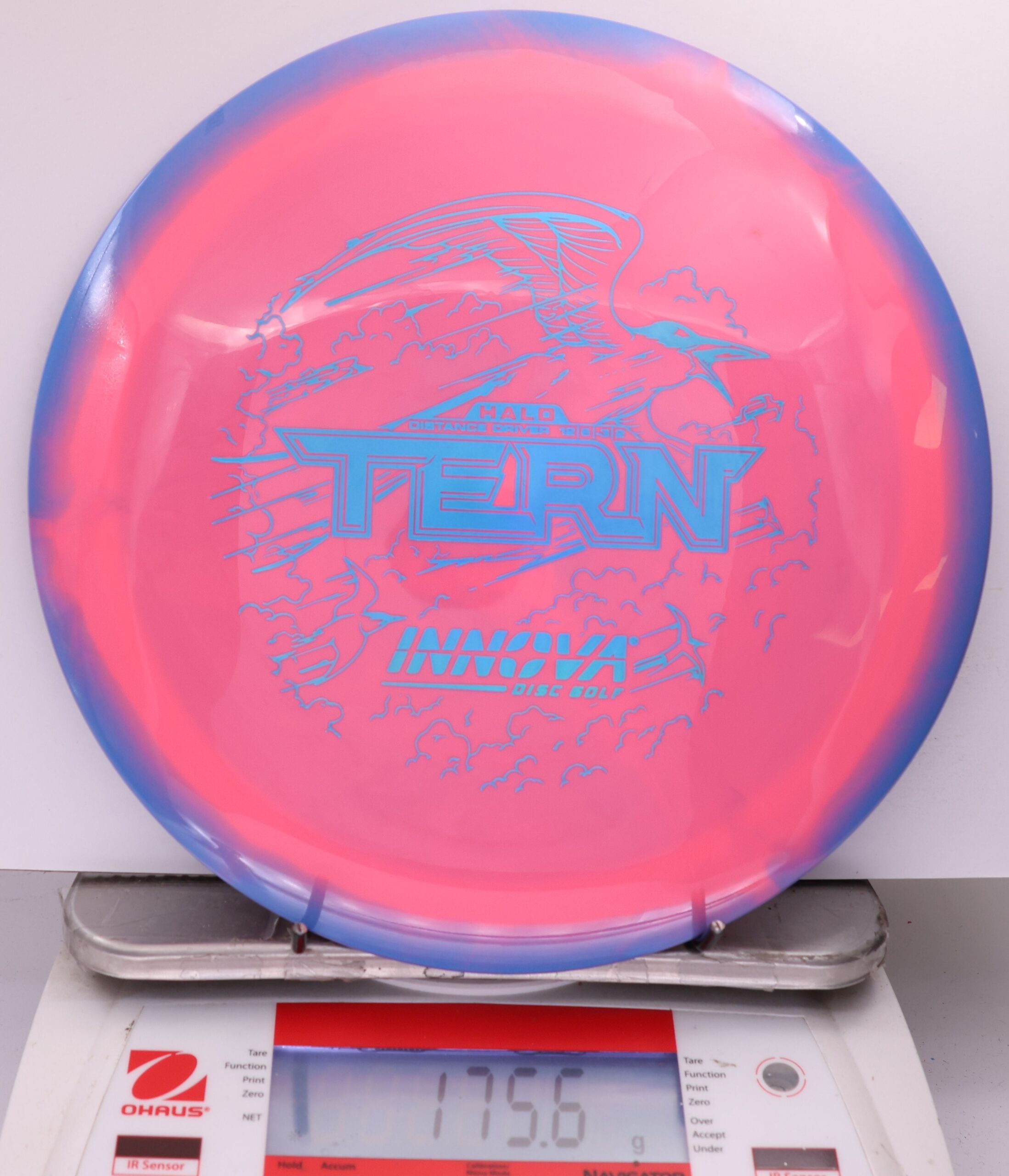 509221 Halo Star Tern - #202 Blurple-PInk, 176