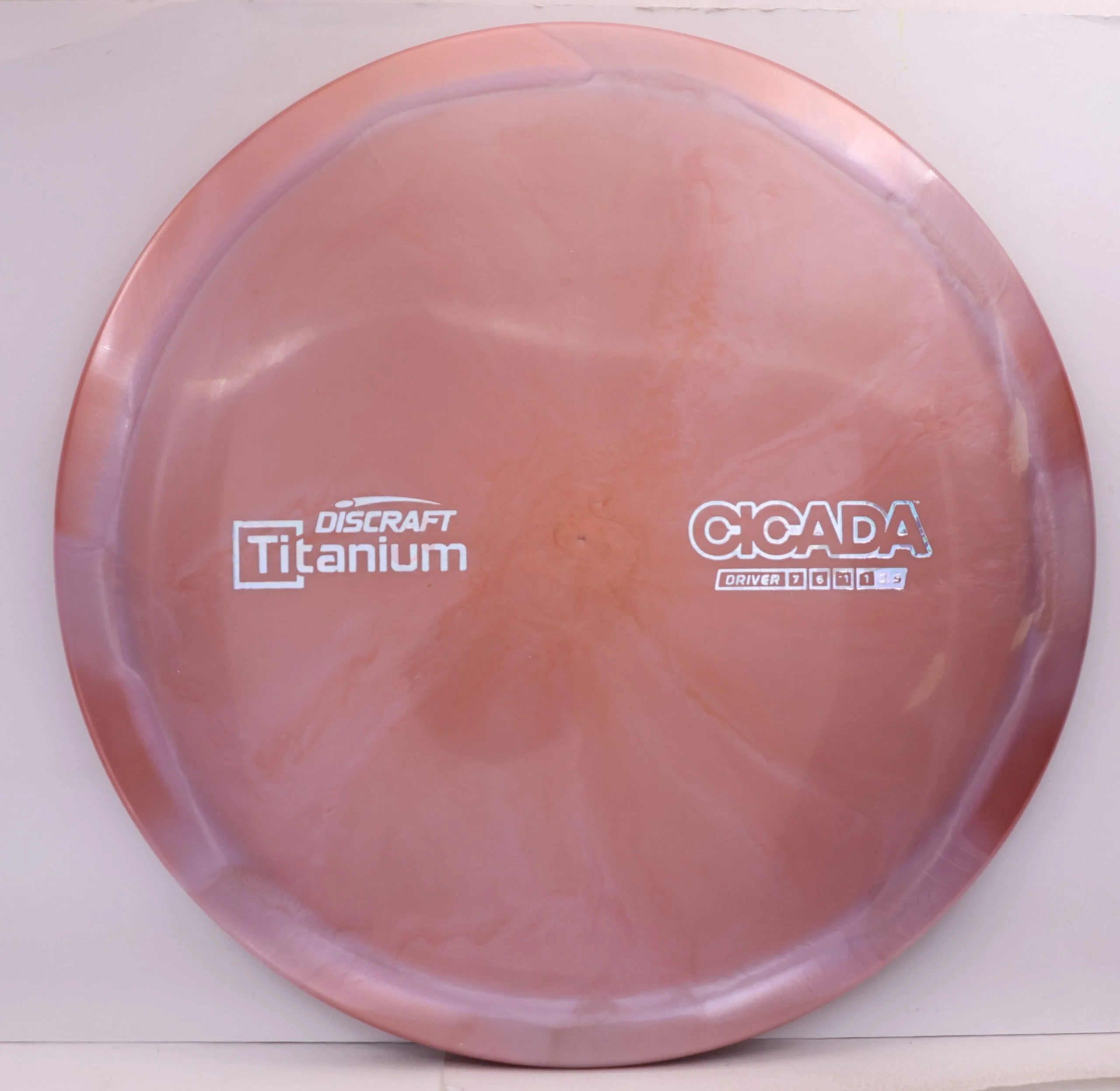 Titanium Cicada - Image 5
