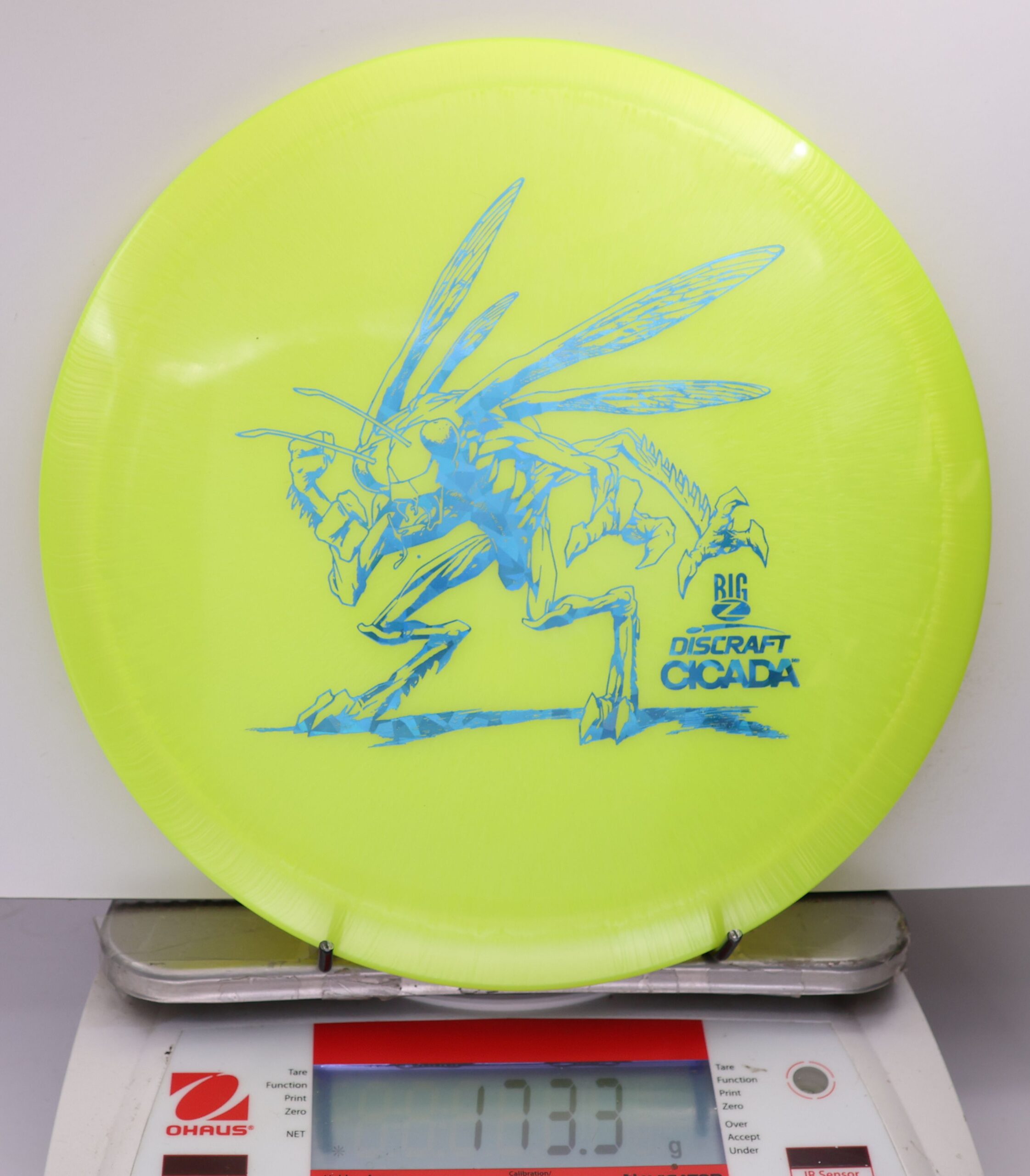 524393 Big Z Cicada - #776 NYellow, 173