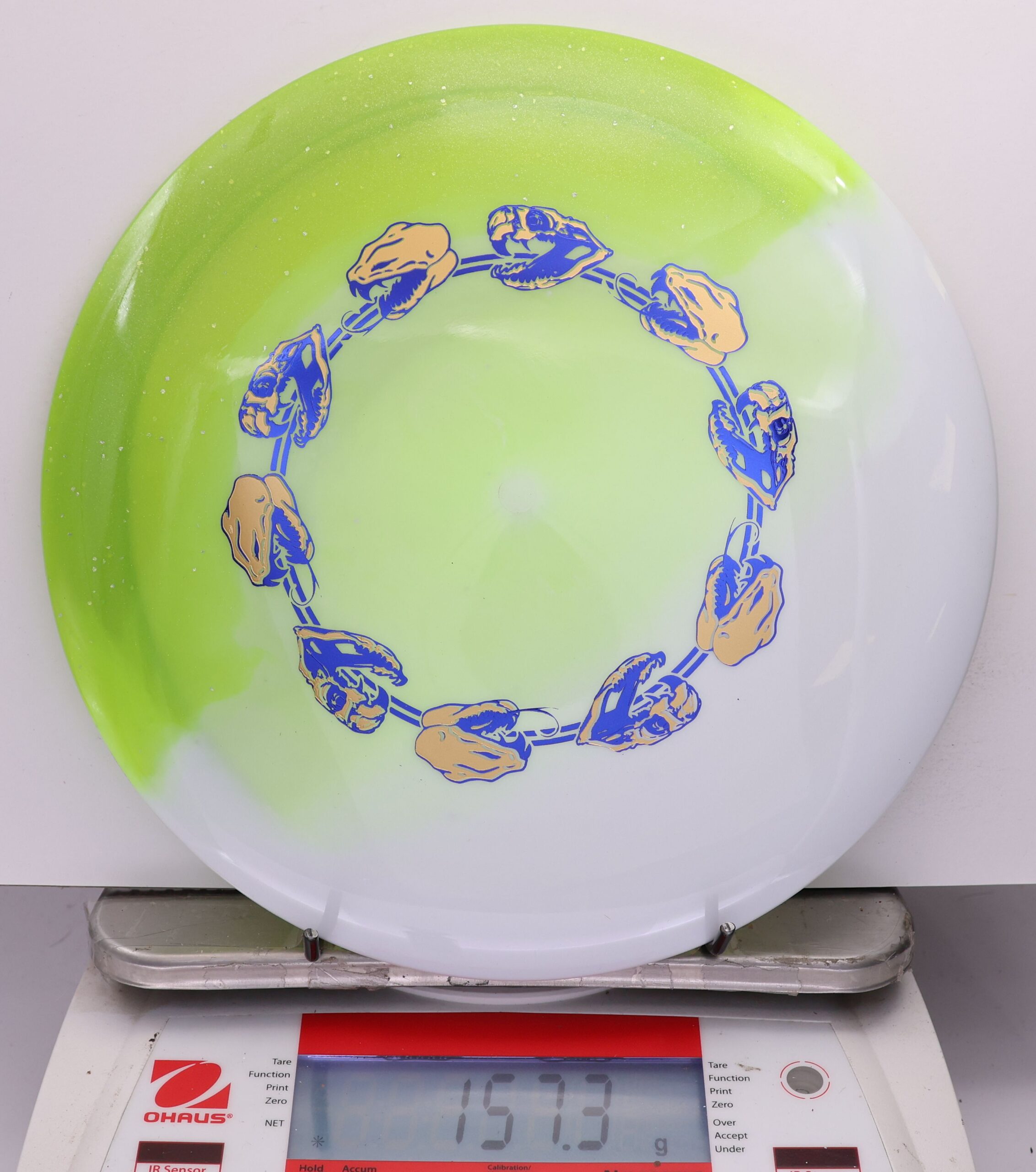 539075 Duo Mamba - #731 Green-White, 157