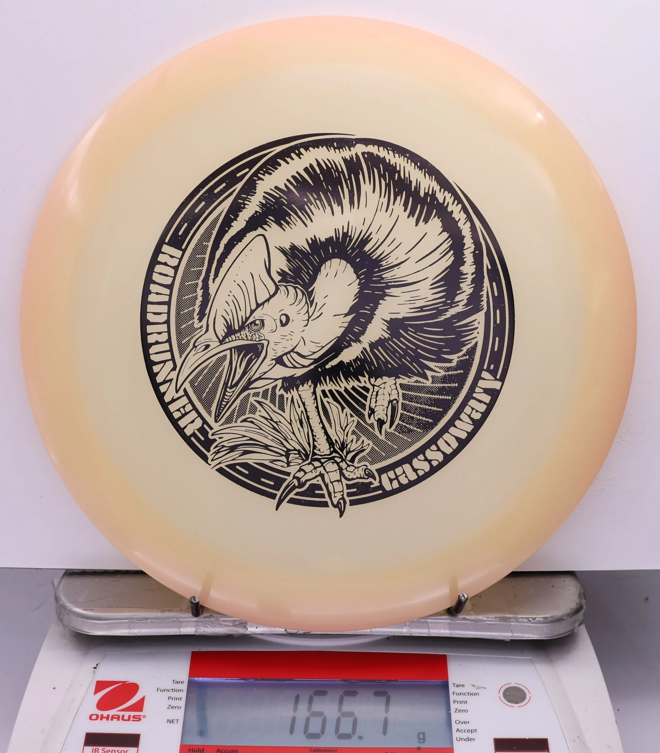 539571 Classic Glow Champion Roadrunner, Artists' Corner - #731 Orange Glow, 167